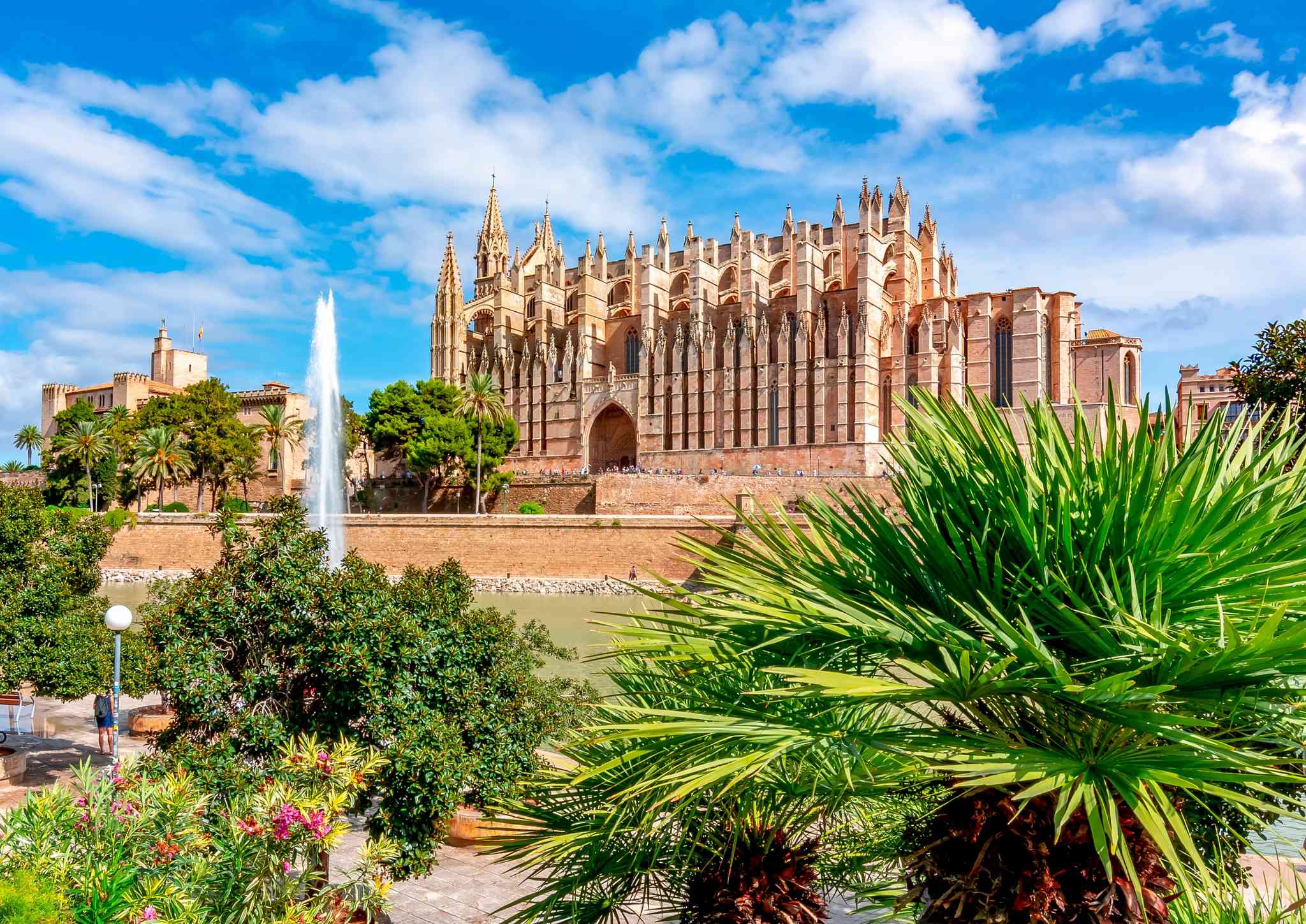 Blick auf die Landschaft von Palma de Mallorca - private Tagesreise von Alcudia - Foto 3