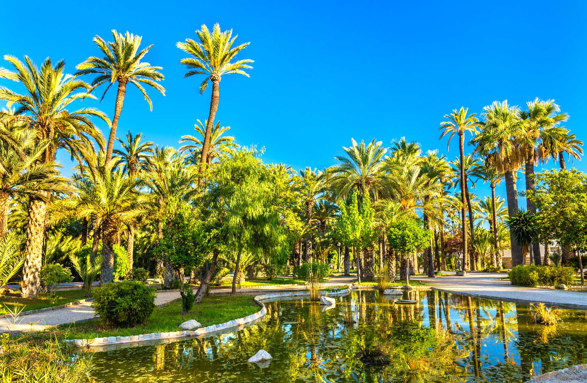 Option privée d'excursion d'une journée depuis Alicante