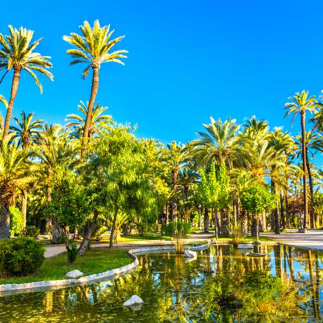 Spain's Moorish heritage: Private day trip from Alicante