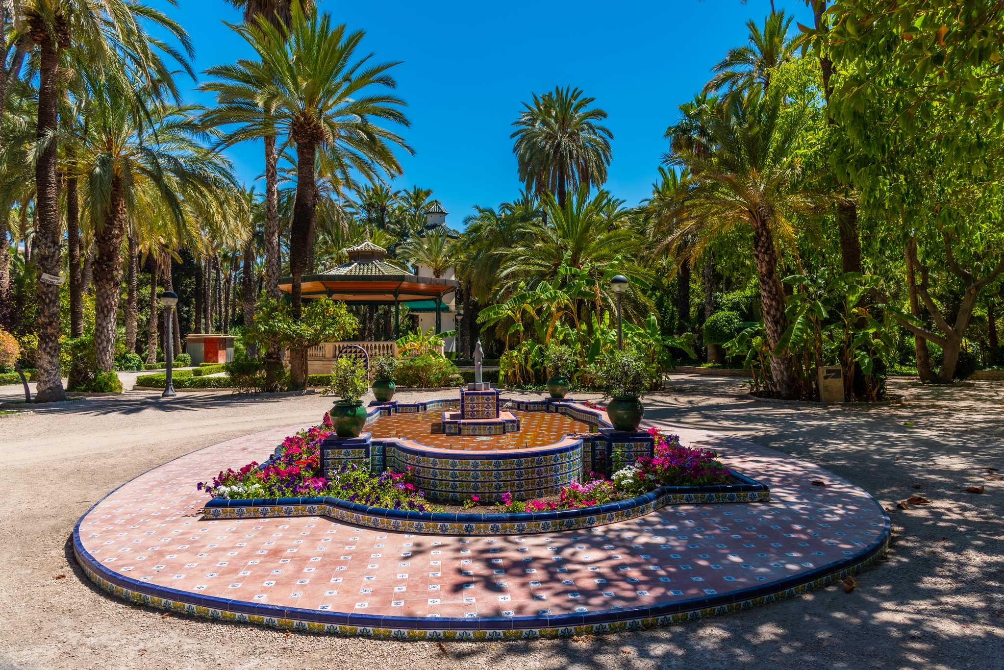 Itinerary stop at Palmeral of Elche on private day trip from Valencia