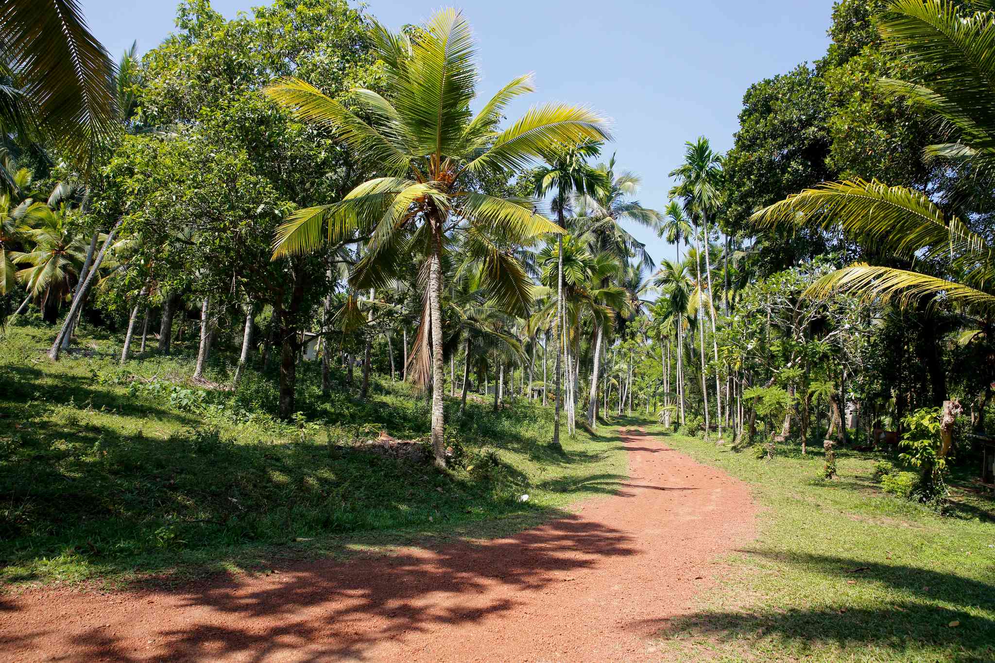 Scenic view of Negombo - private day trip from Panadura - photo 6