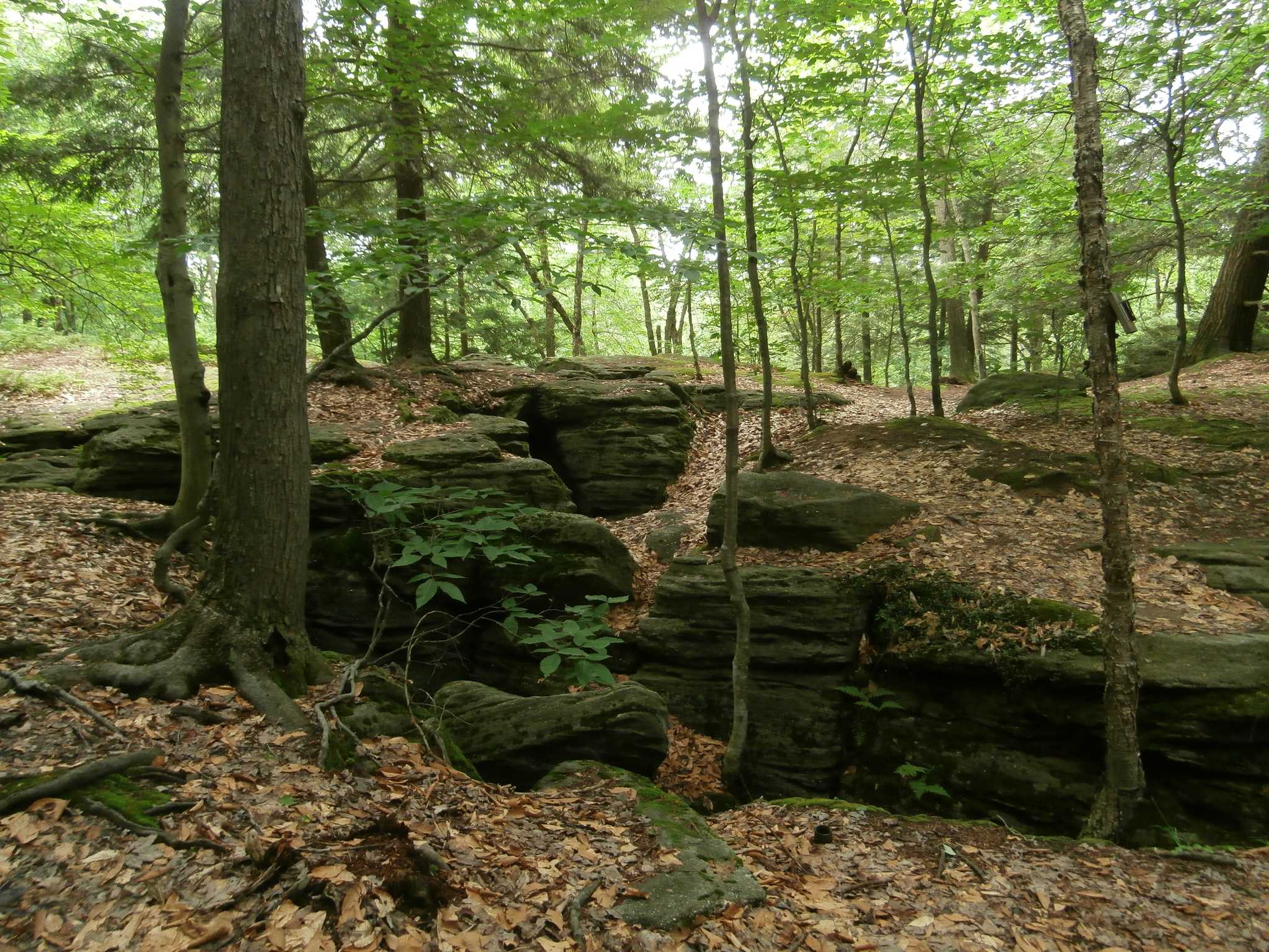 Visit Panama Rocks Scenic Park on the way from buffalo-ny-us to erie-pa-us with Daytrip