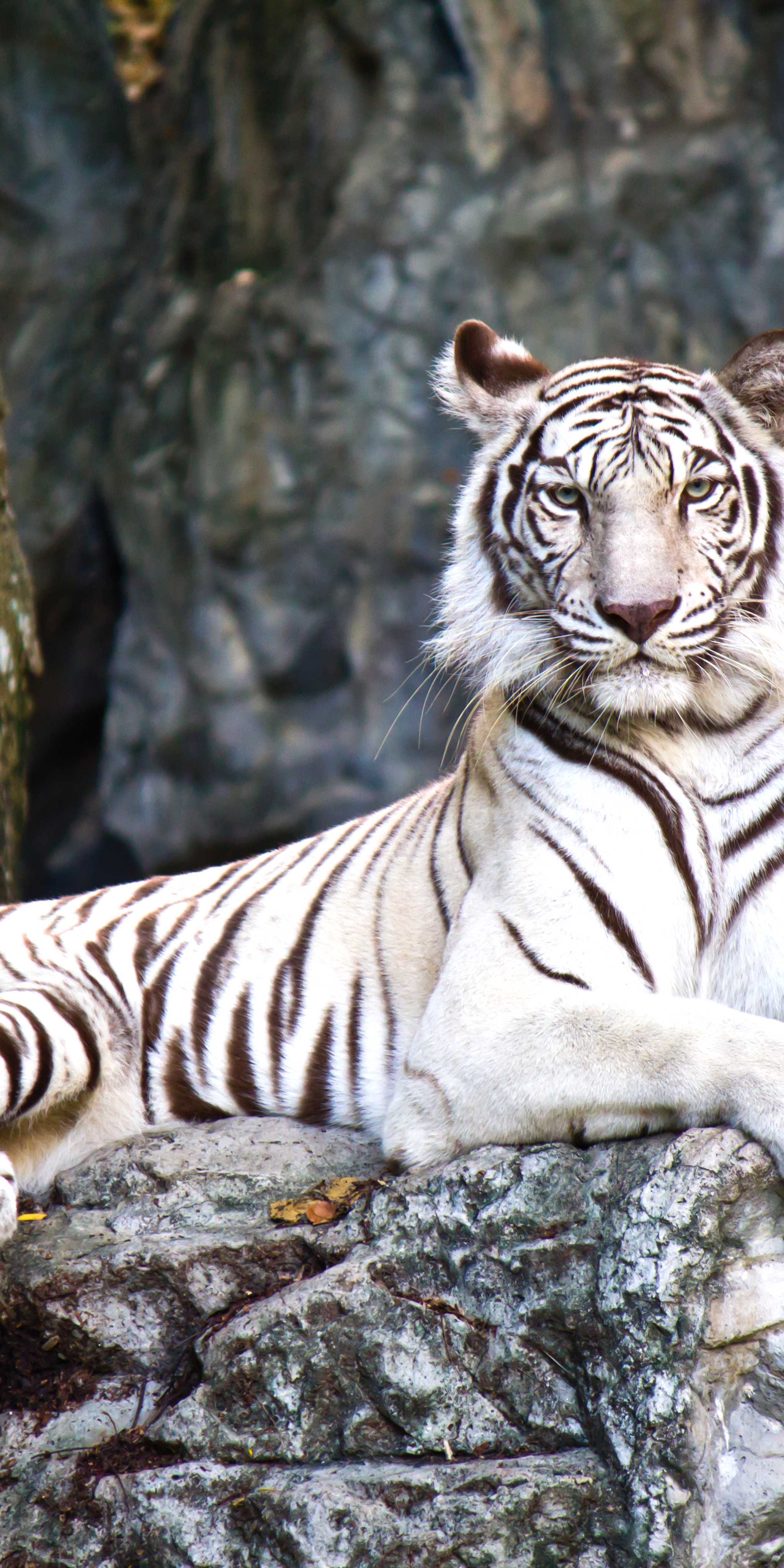 Paradise Wildlife Park