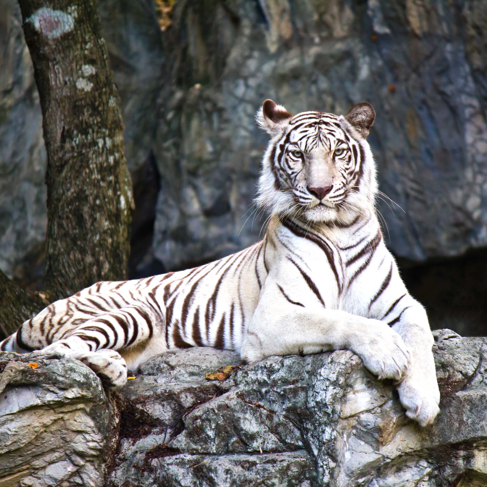 Paradise Wildlife Park