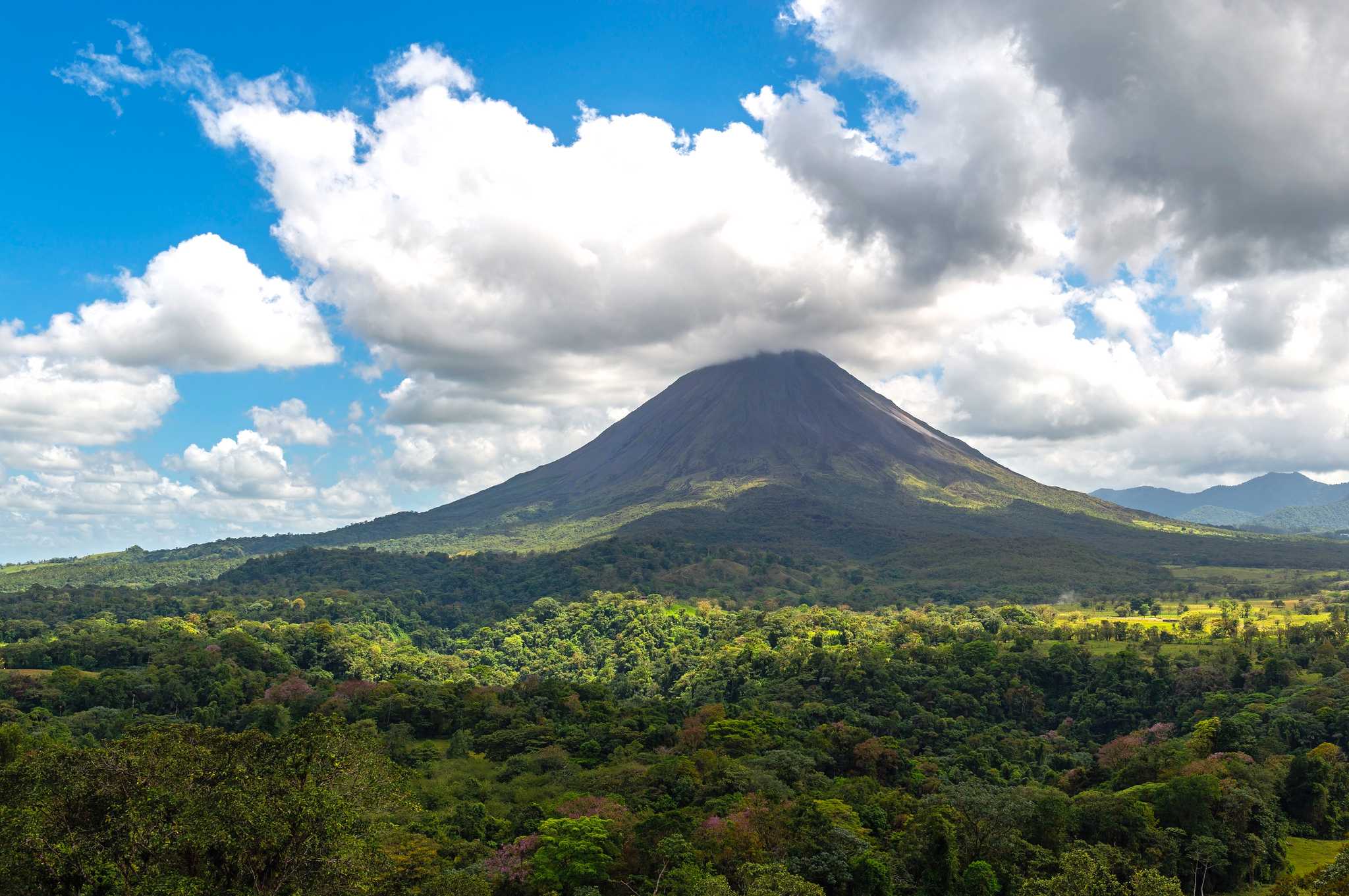 Private day trip from La Fortuna to the Rainforest Reserves