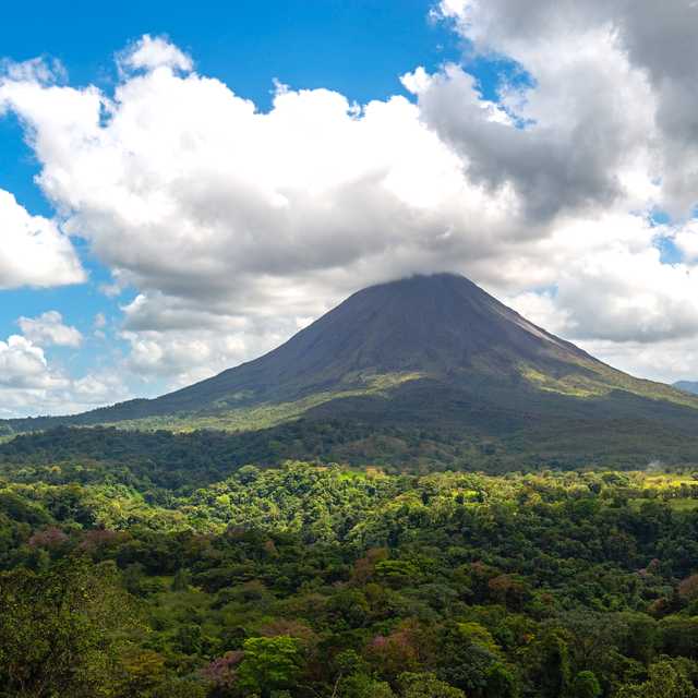 Private day trip from La Fortuna to the Rainforest Reserves