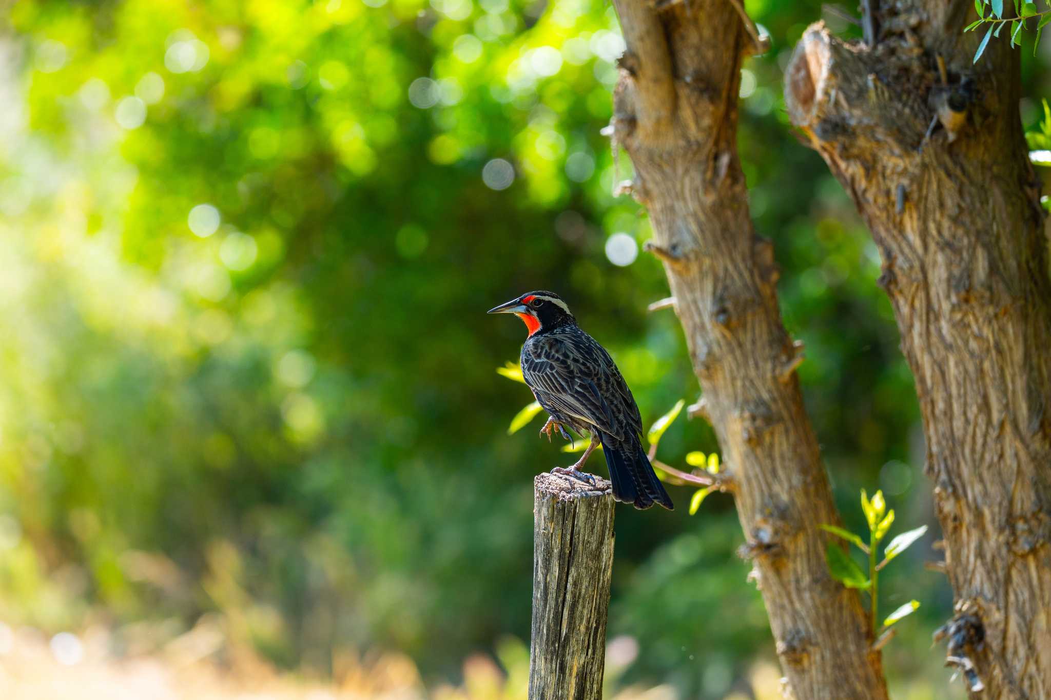 Parque Ecológico Volcán Arenal