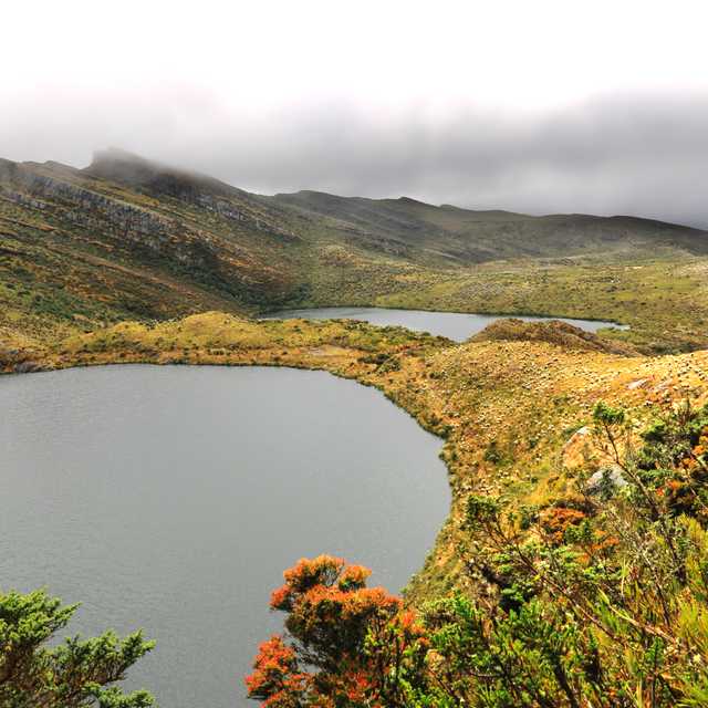 Bogota to Chingaza Park and La Calera: Private day trip