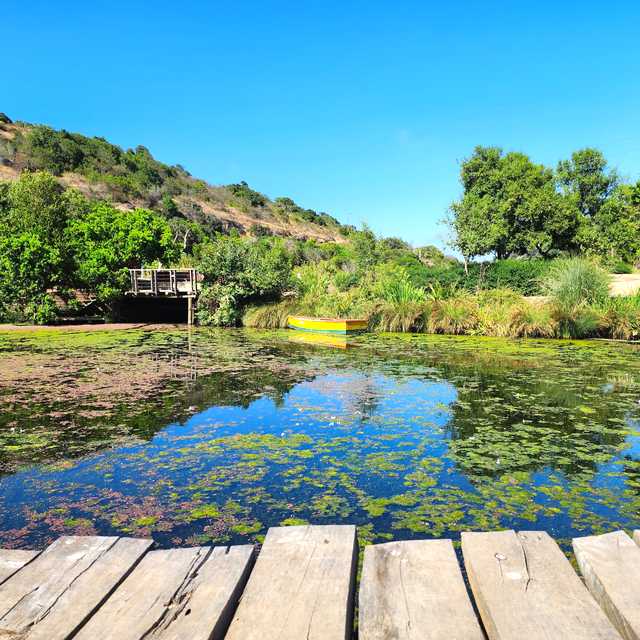 Santiago to Casa del Isla Negra and Parque Tricao: Day trip