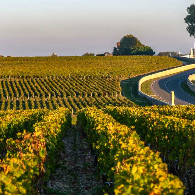 Bordeaux to Pauillac and Margaux: Private day trip