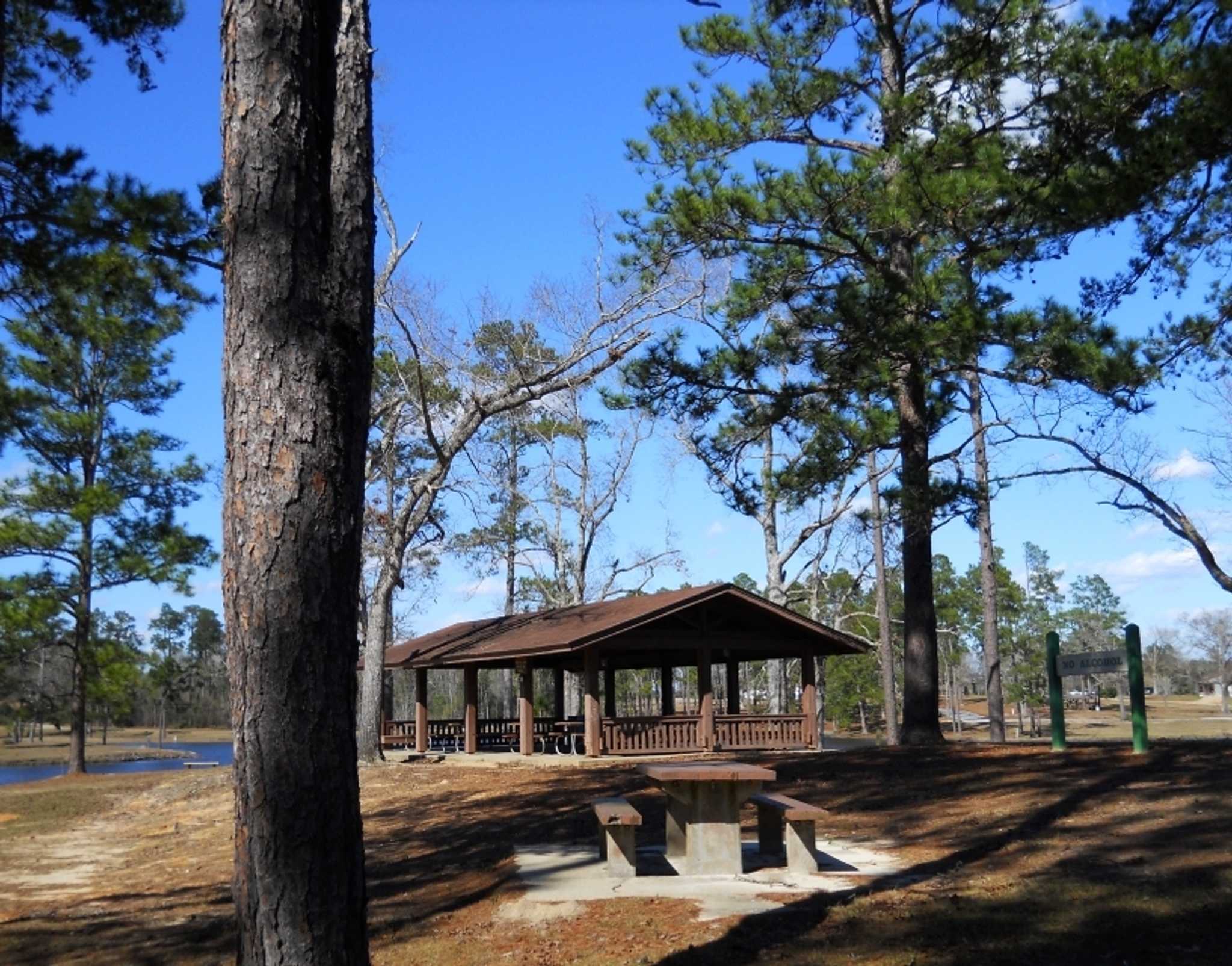 jackson-ms-us에서 pensacola-fl-us으로 가는 길에 Daytrip 으로 Paul B Johnson State Park 방문하기