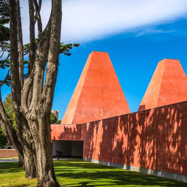 Lisbon to Casa das Historias Paula Rego: Private day trip