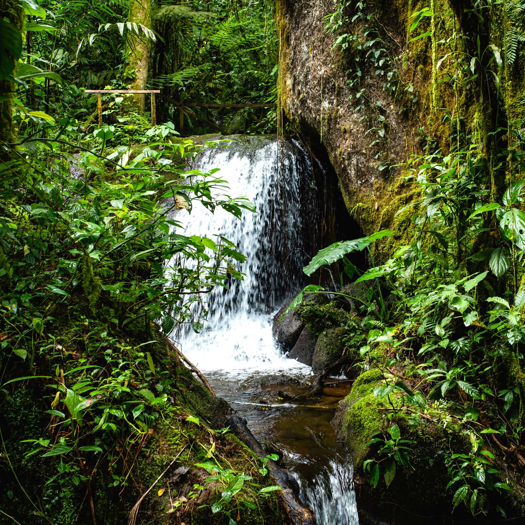 Penas Blancas - Nicaragua