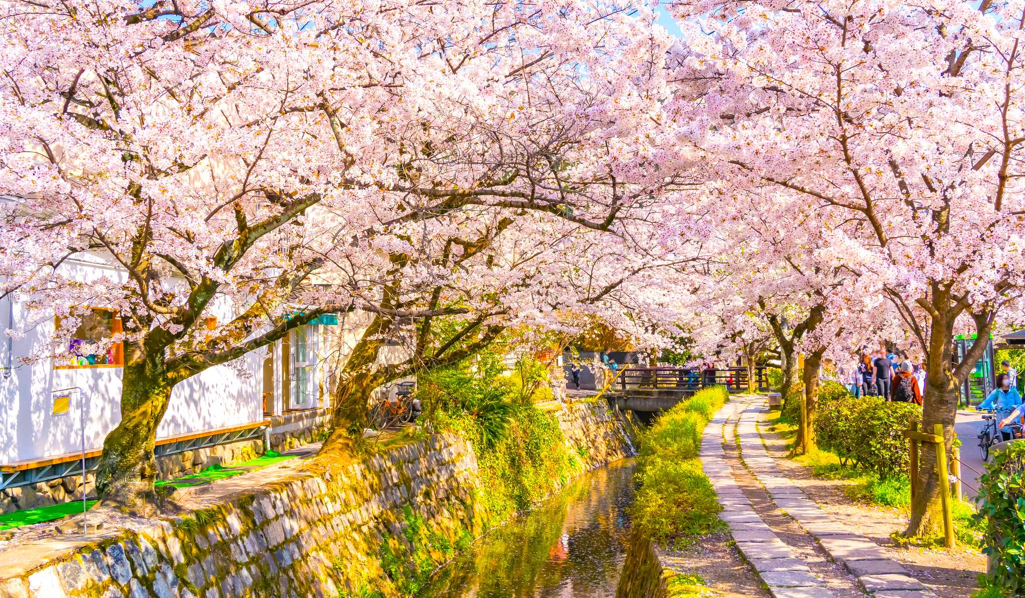 Osaka to Philosopher's Path and Kiyomizu-dera: Day trip