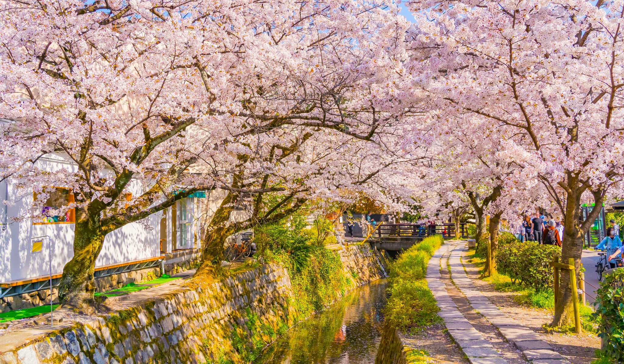 Philosopher’s Path