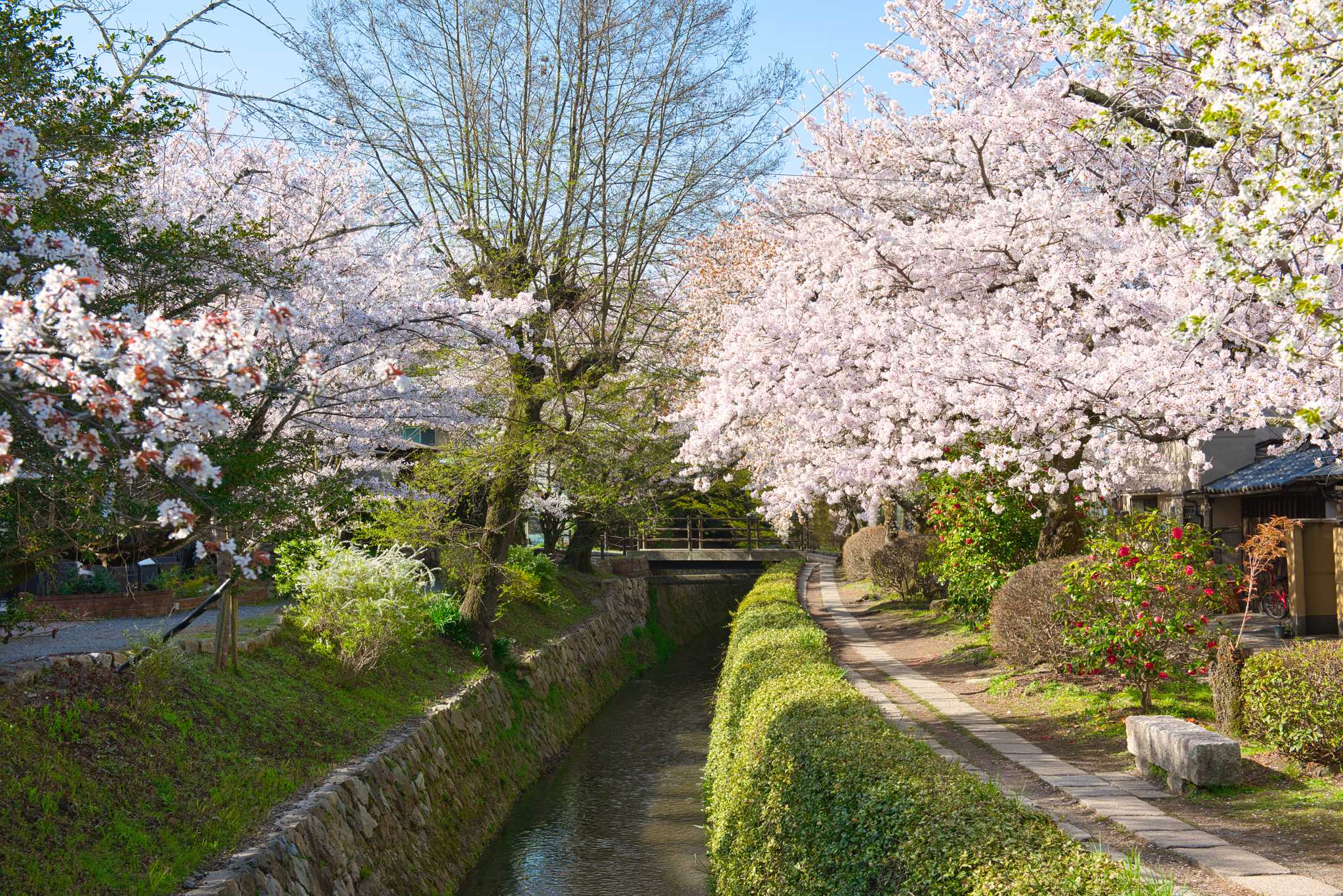 Philosopher’s Path