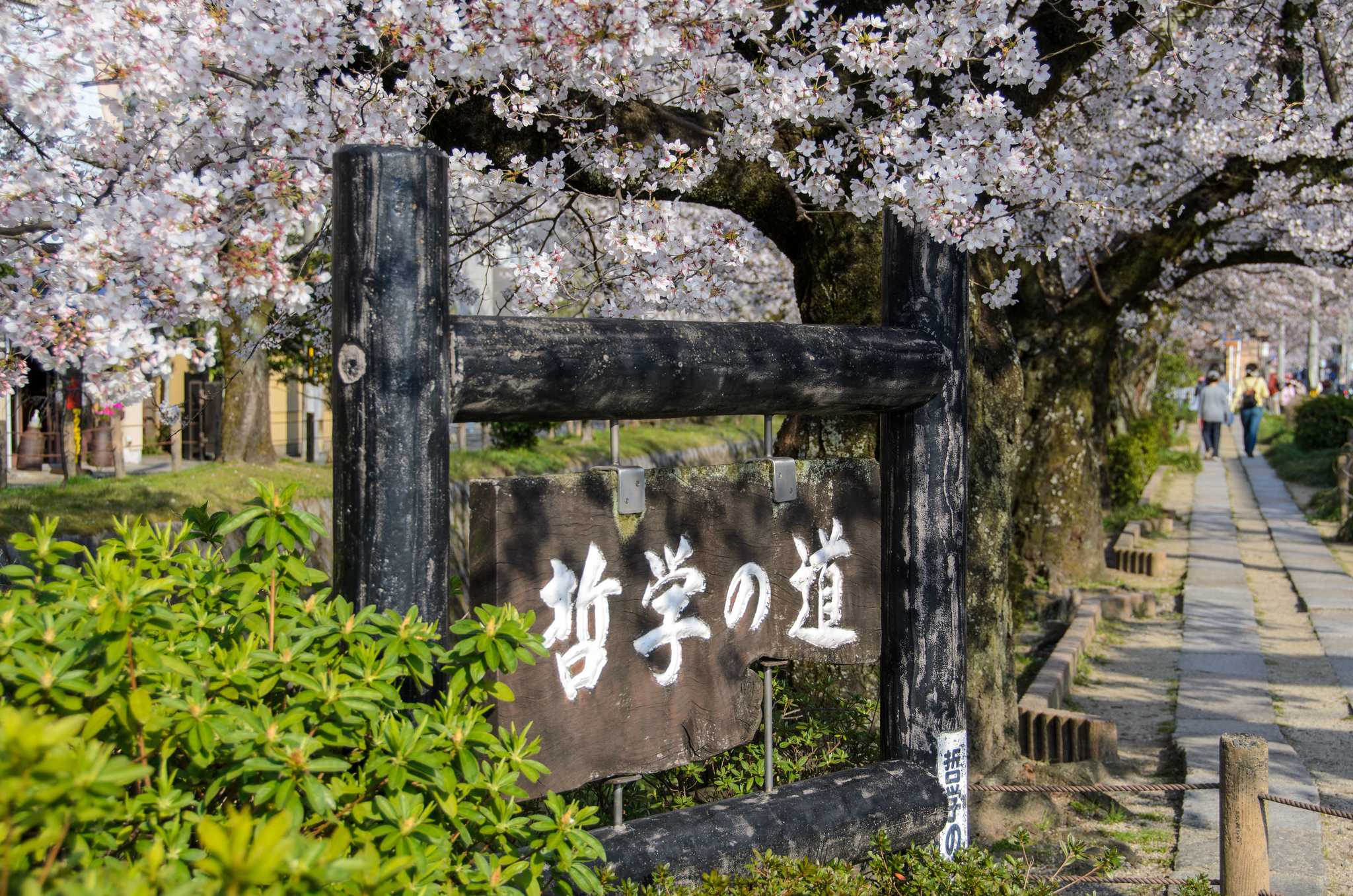 Philosopher’s Path