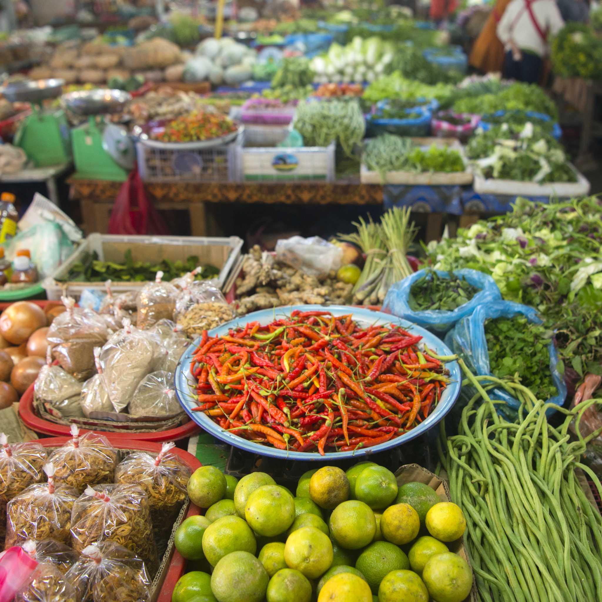 Private car transfers in Laos from Phonsavan