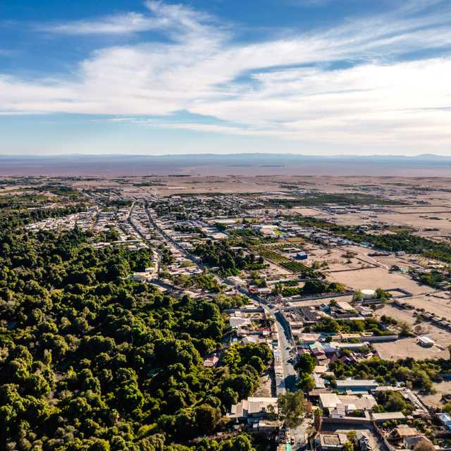 Iquique to Pica and Pozo Almonte: Private day trip