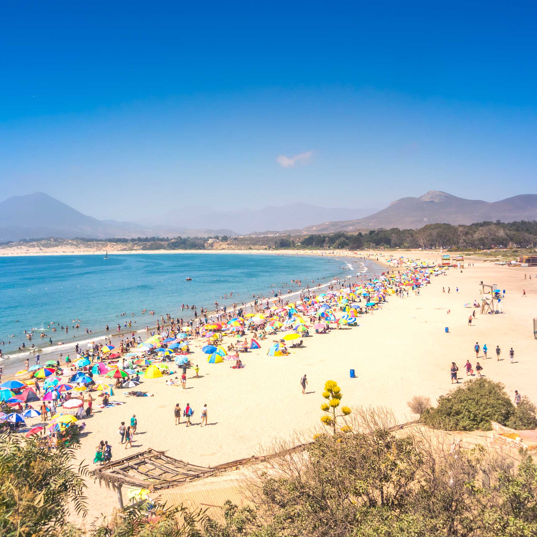 Pichidangui