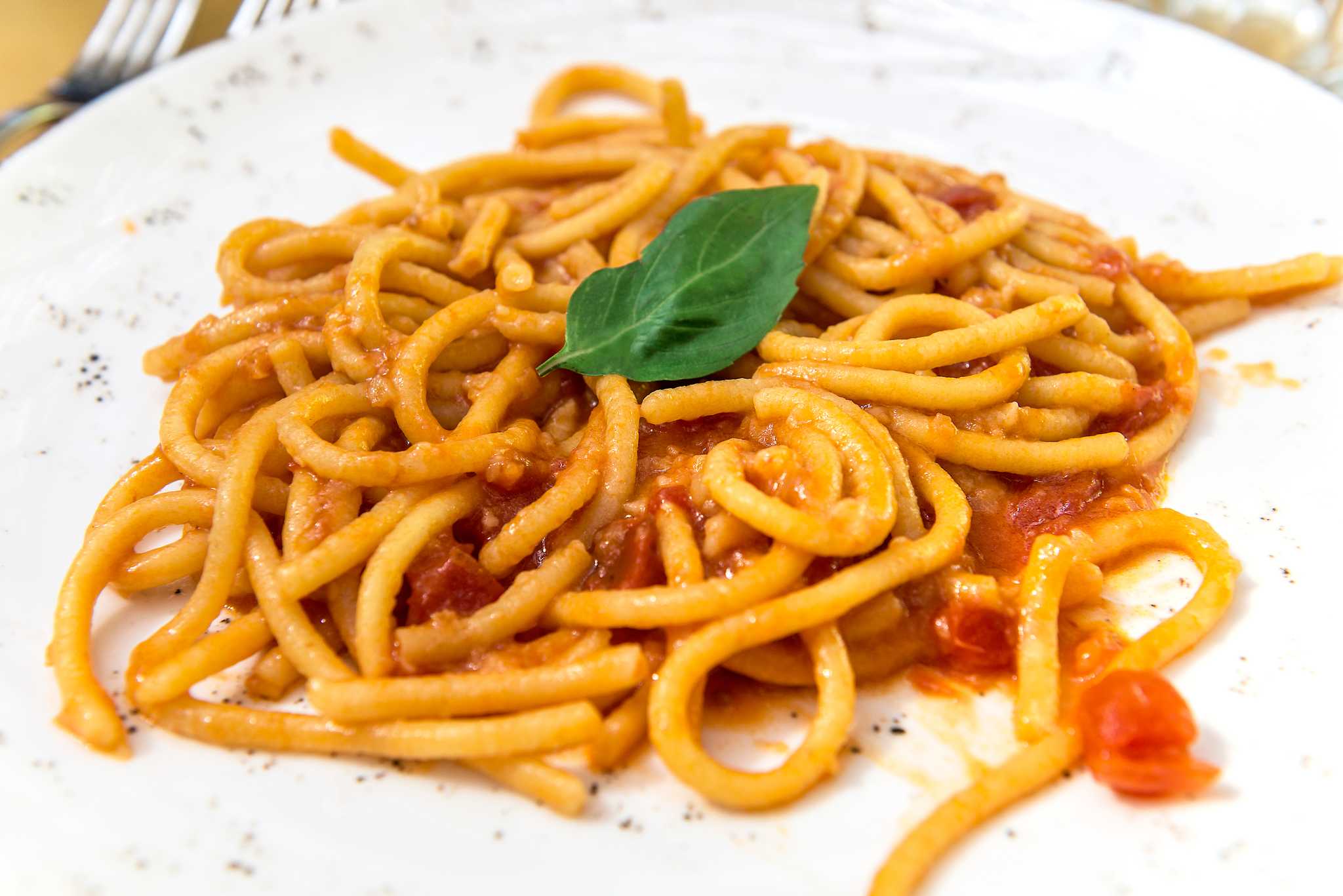 A bowl of pici pasta, a thick-rolled pasta from Emilia-Romagna, covered in tomato sauce.