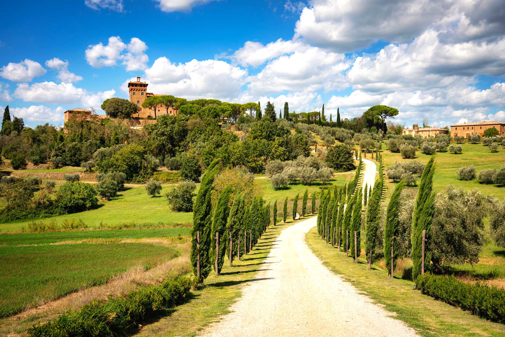 Private day trip option from Rome