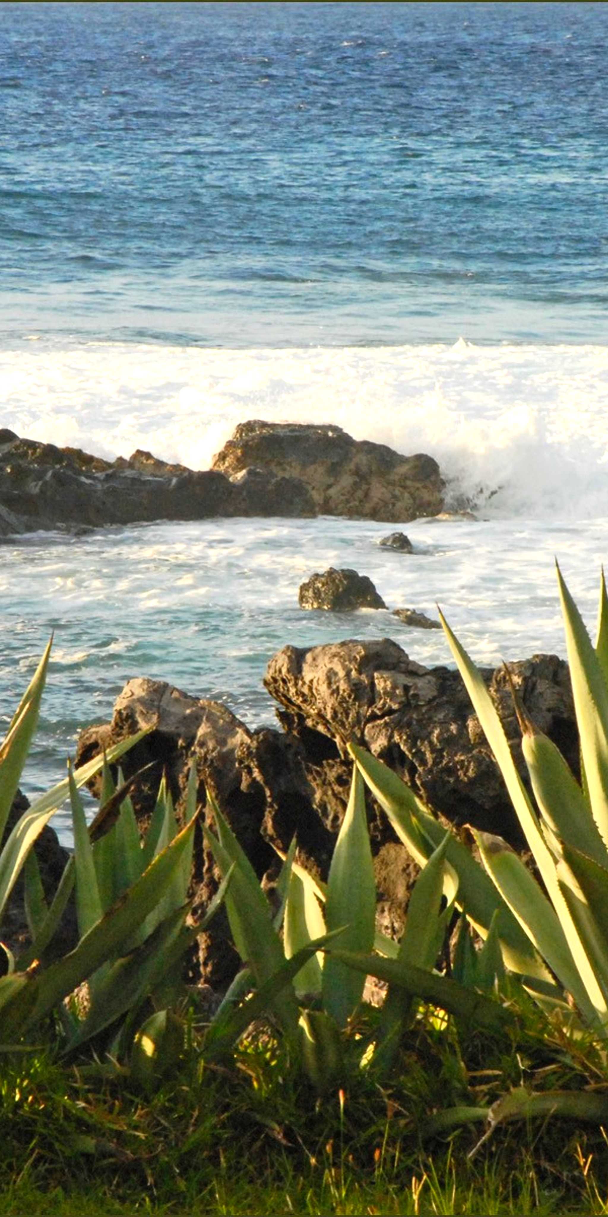 Plage de Boucan Canot