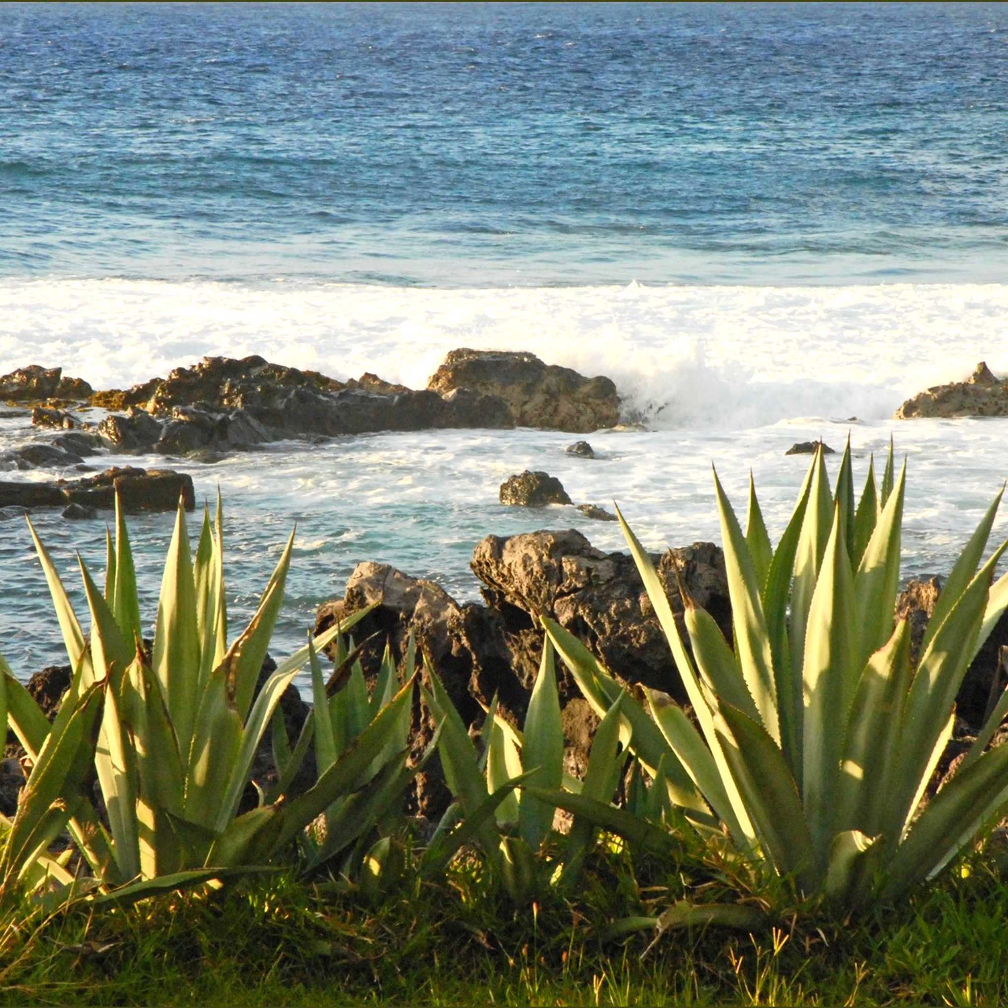 Private car transfers in Réunion from Plage de Boucan Canot