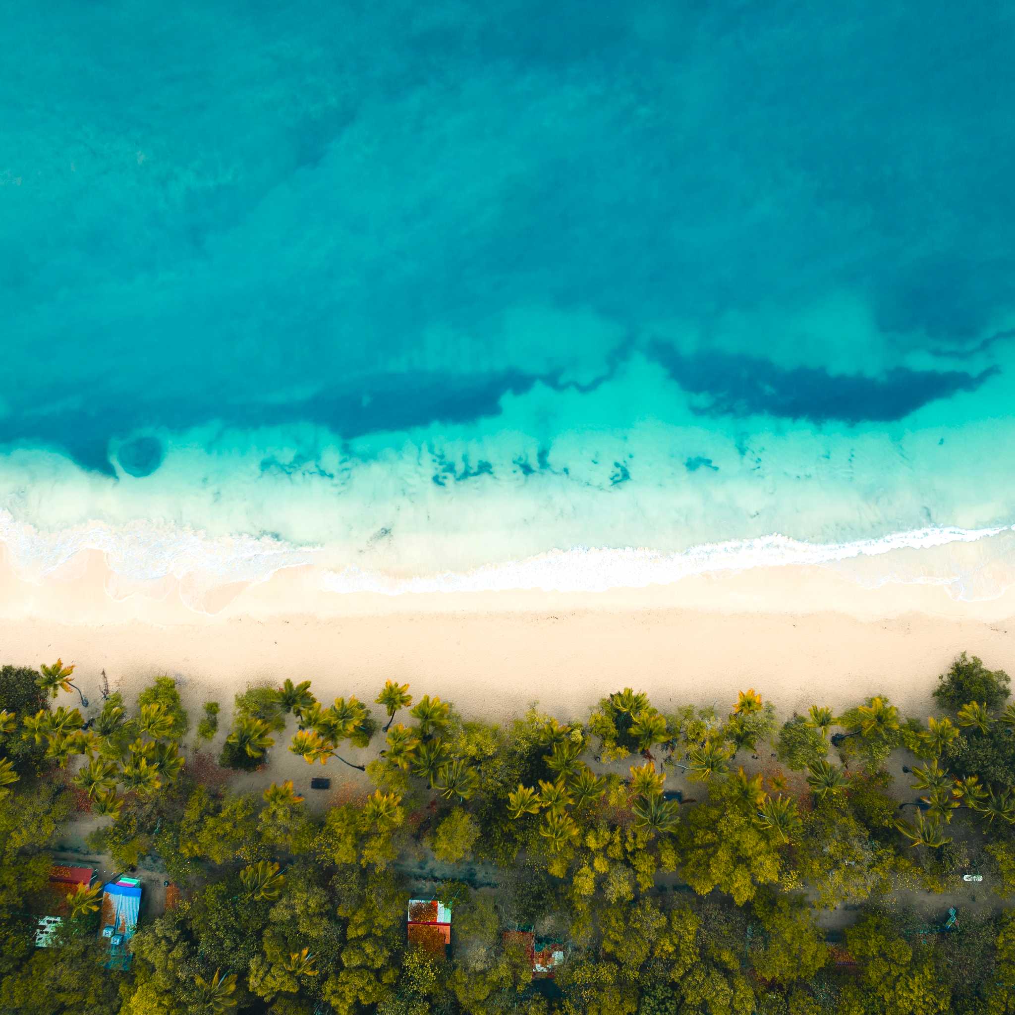 Plage de la Saline