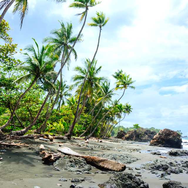 Tamarindo to Playa Azul and Culebra: Private day trip