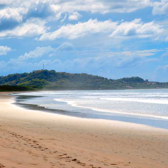 Liberia to Playa Grande and Ostional: Private day trip