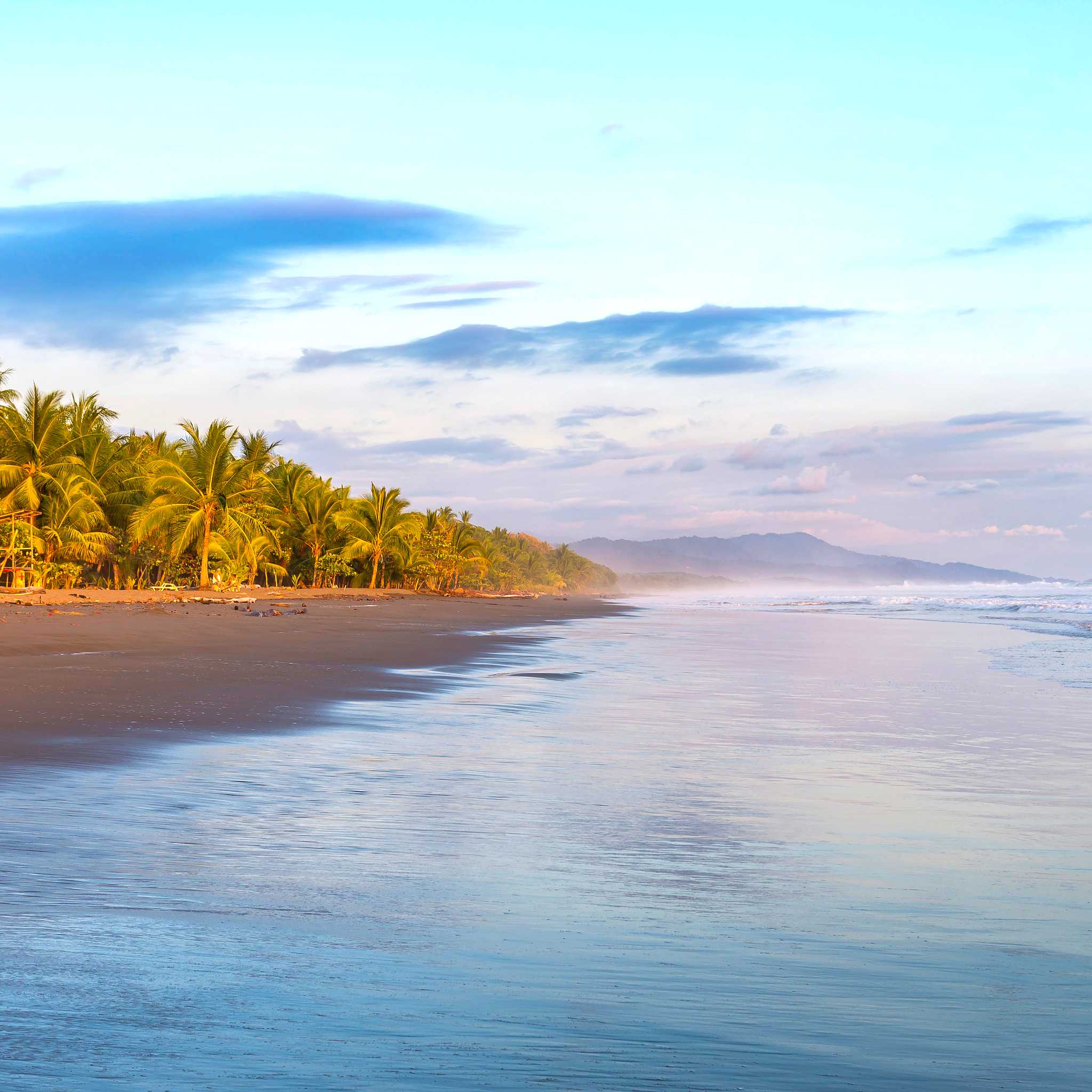 Playa Matapalo, Carrillo