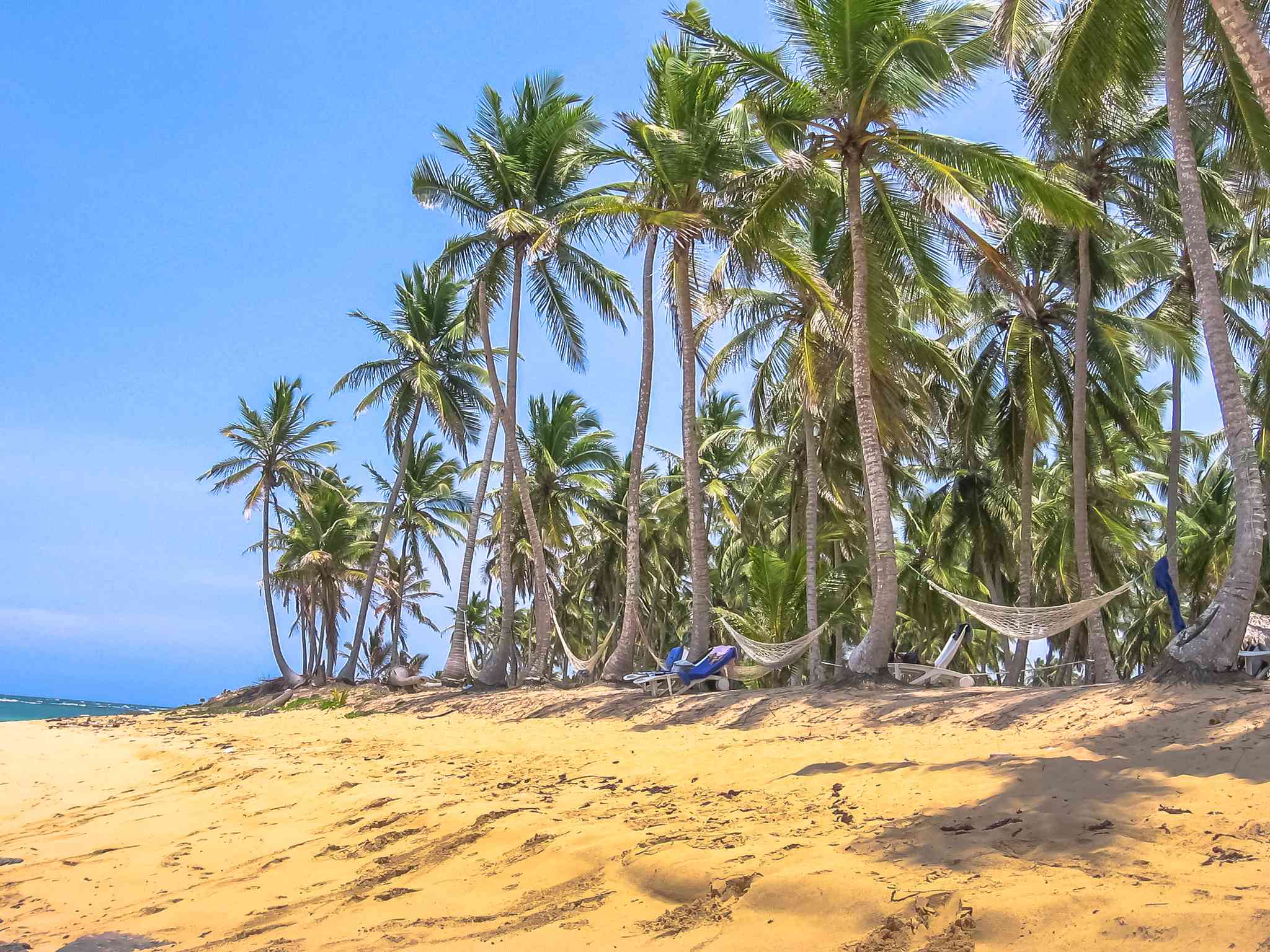 伊格维 的风景 - 从 Playa Rincon 出发的私人 一日游 - 照片 7