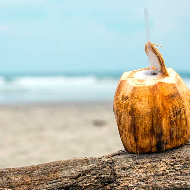 Panama City to Playas Gorgona and Rio Mar: Private day trip