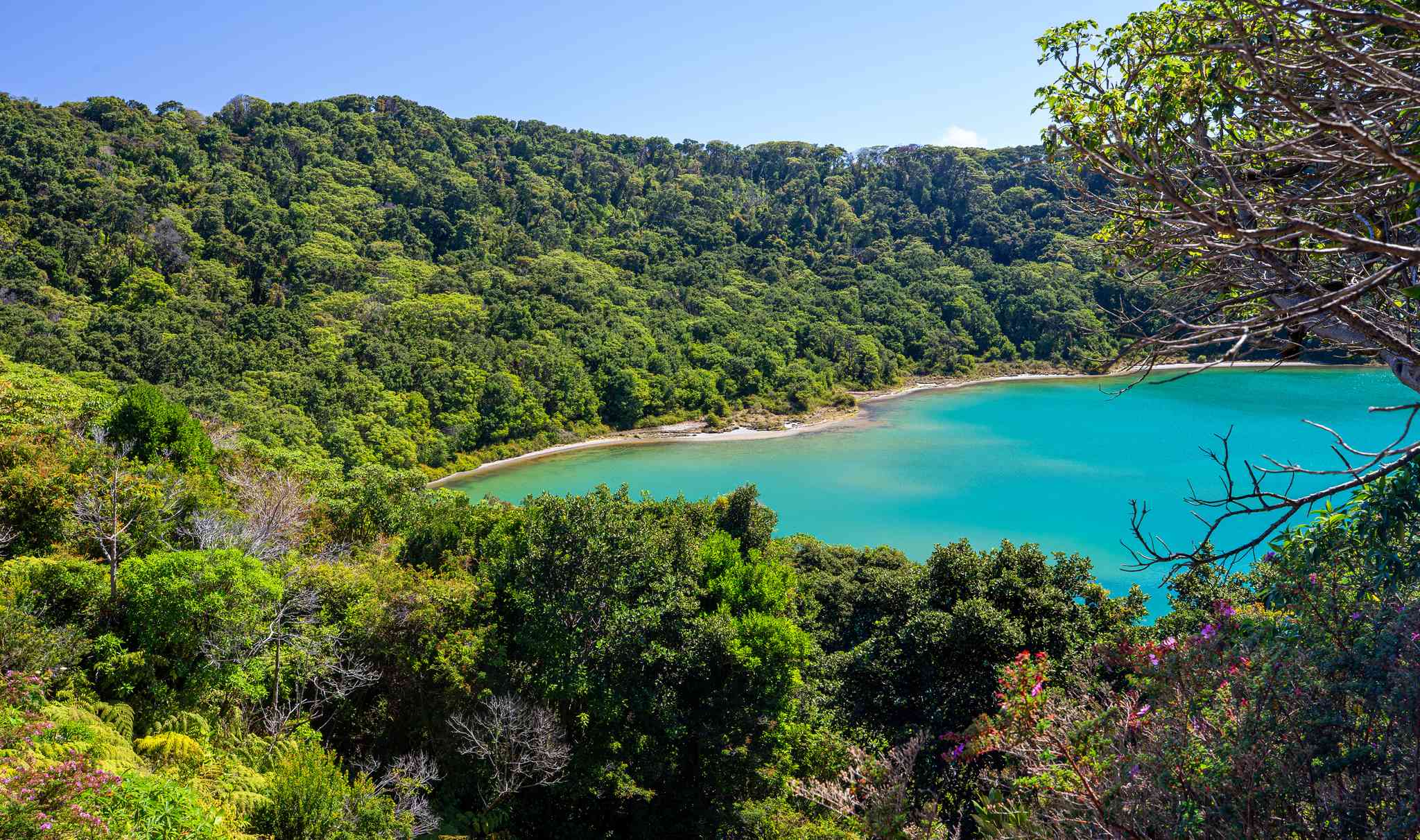 Vacker vy över La Fortuna - privat dagsutflykt från La Fortuna - foto 2