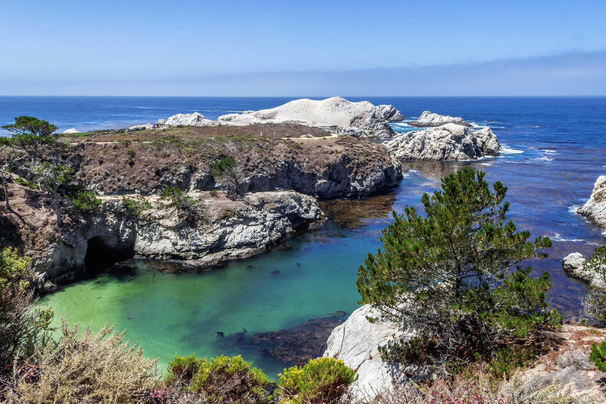 在 从 menlo-park-ca-us 到 big-sur-ca-us 的途中，参观 Point Lobos ，通过 Daytrip
