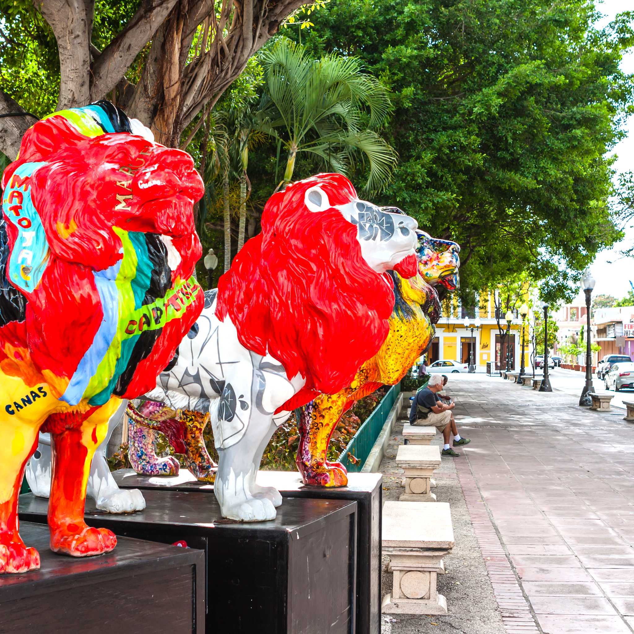 Private car transfers in Puerto Rico from Ponce