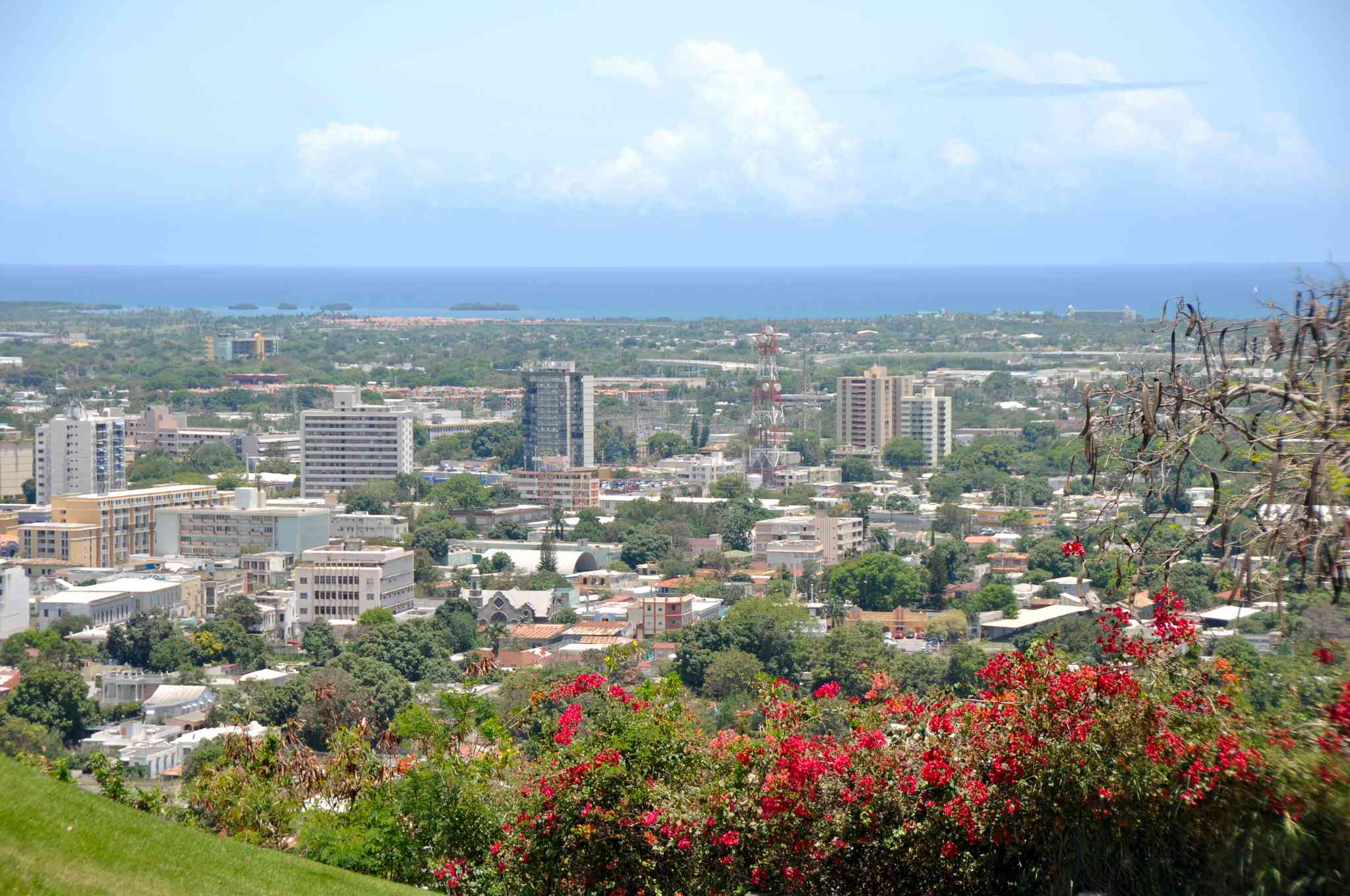 Scenic view of Ponce - private day trip from San Juan - photo 3