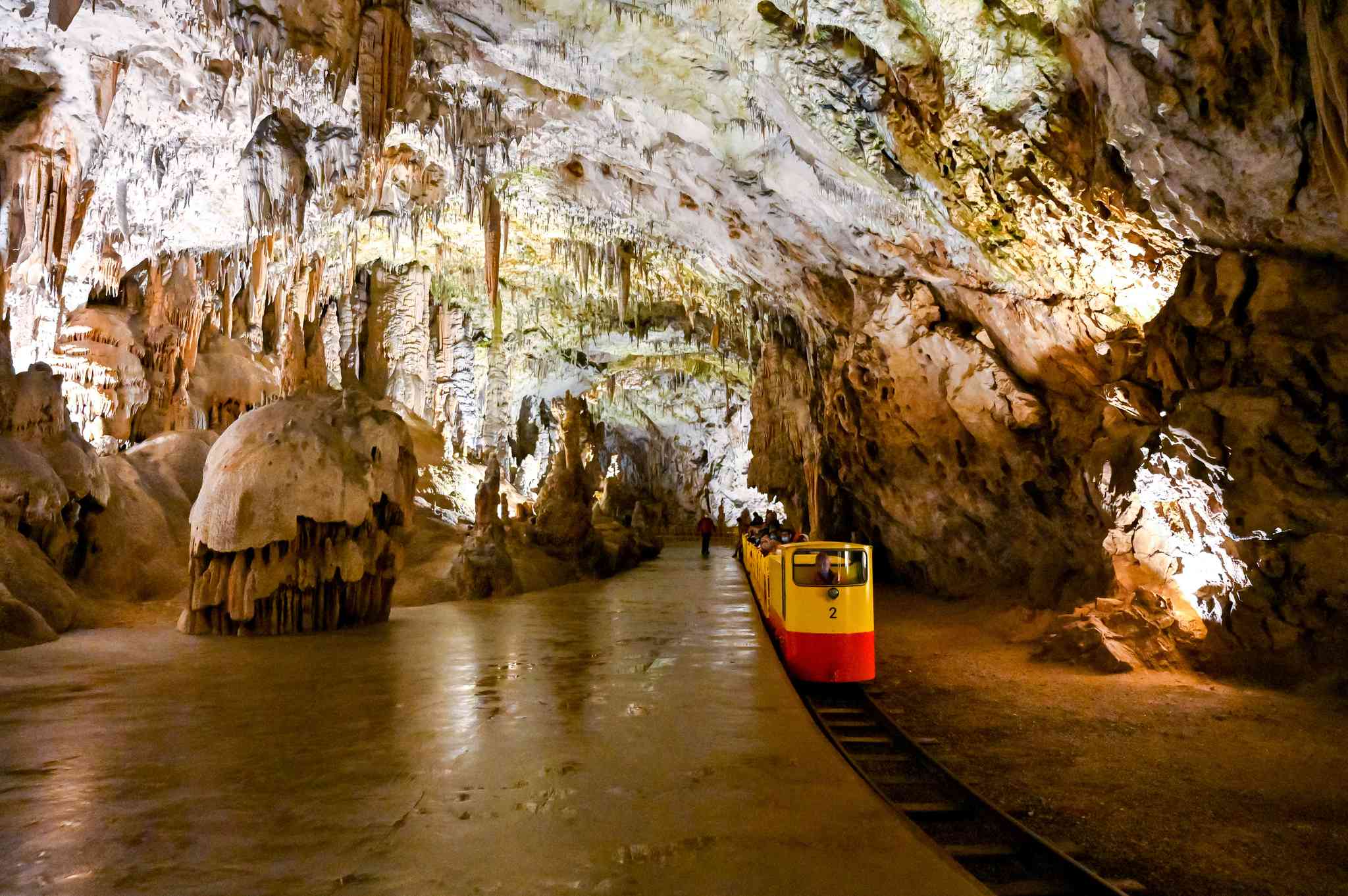 Vista panorámica de Lago Bohinj - excursión privada de un día desde Cueva de Postojna - foto 7