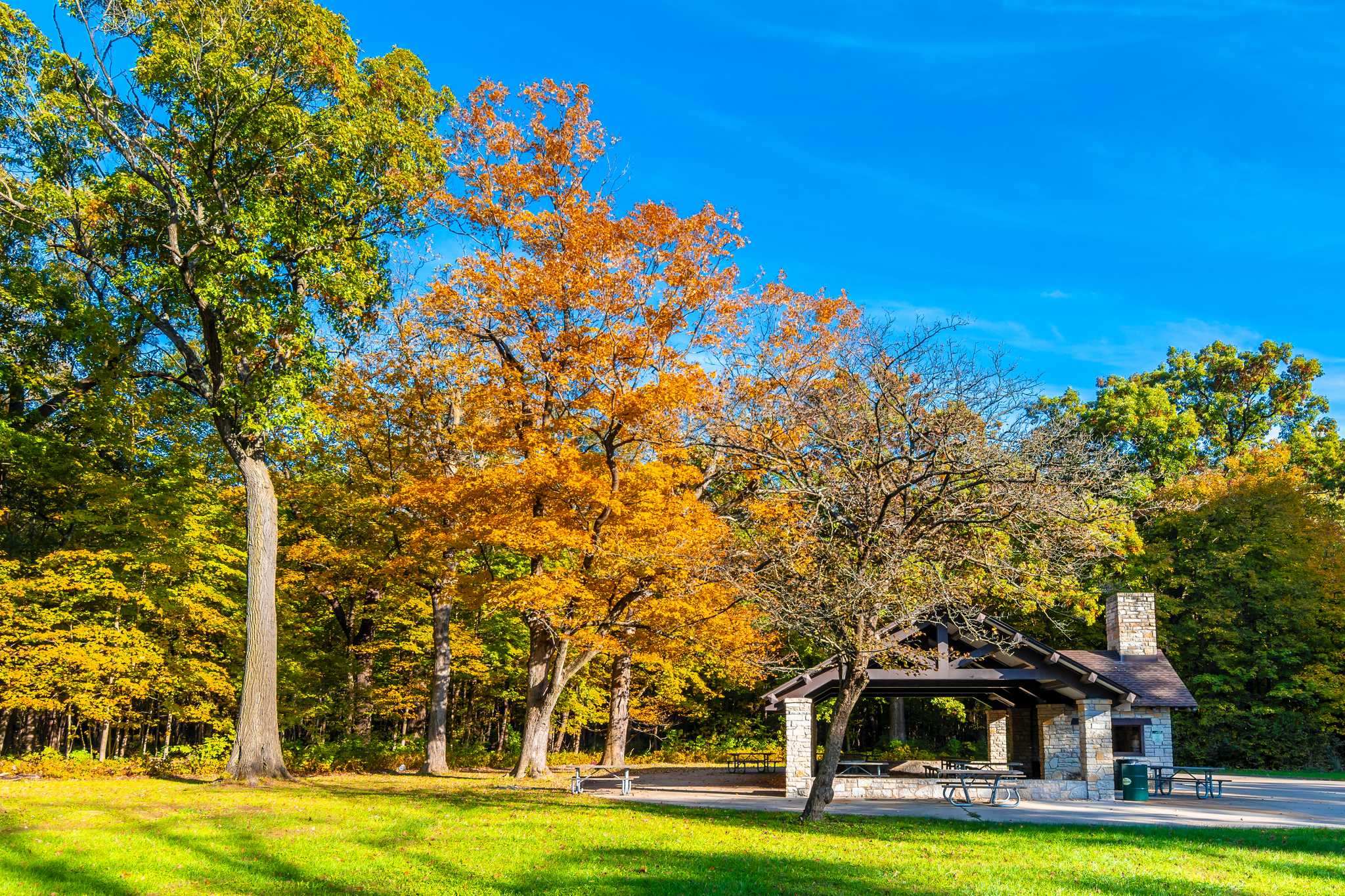 Visit Potawatomi Zoo on the way from fort-wayne-in-us to chicago-il-us with Daytrip