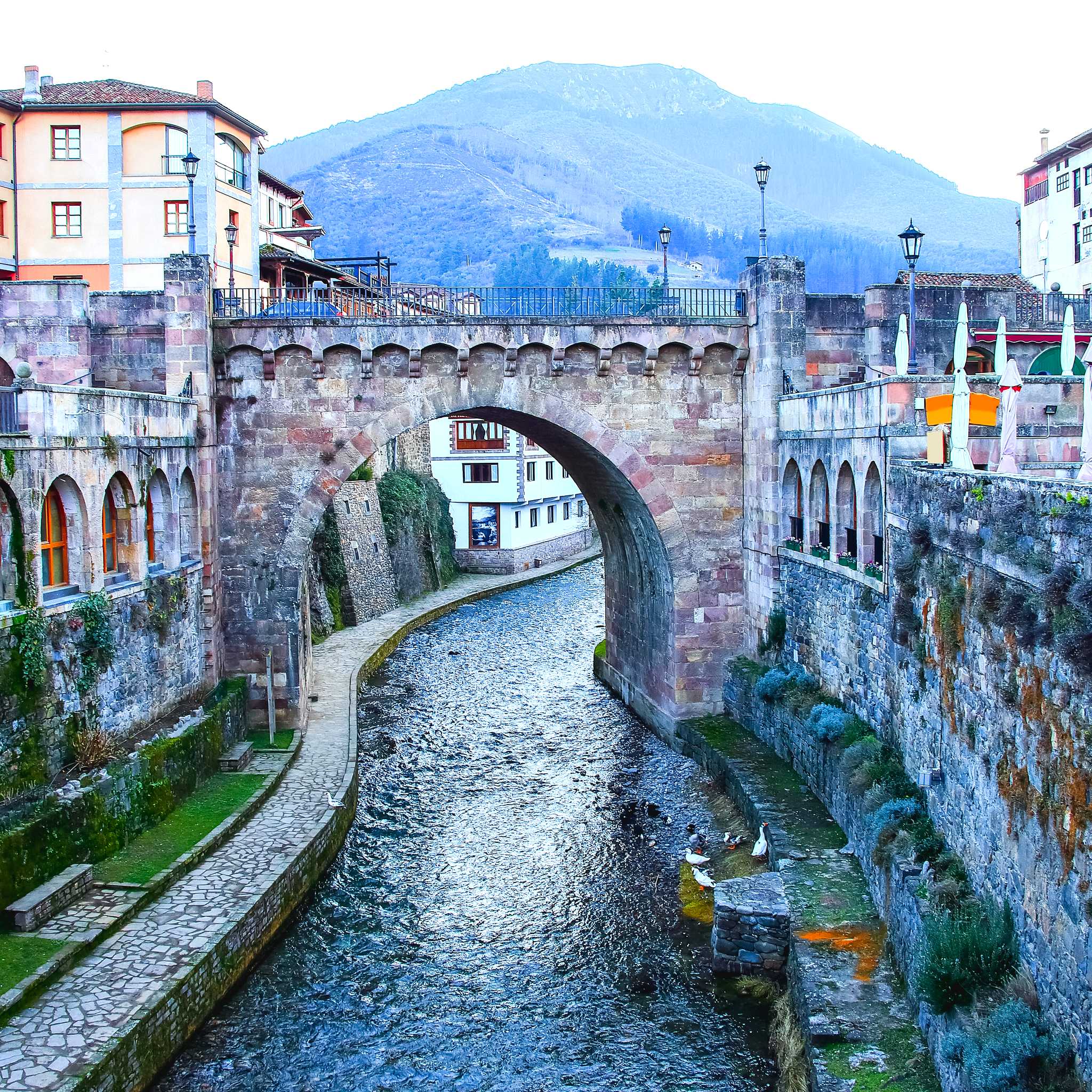 Potes