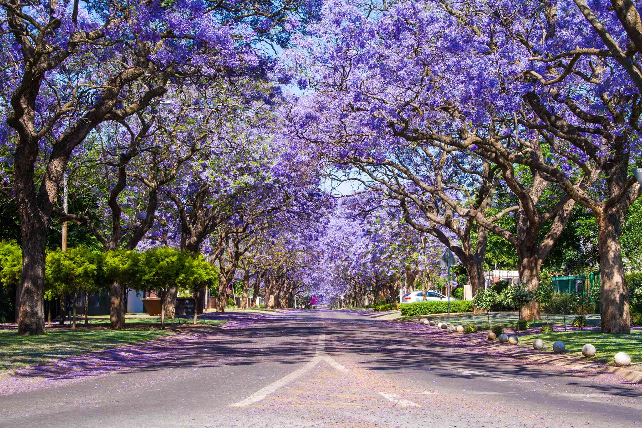 Vista cênica de Pretoria - excursão particular de um dia de Phalaborwa - foto 3