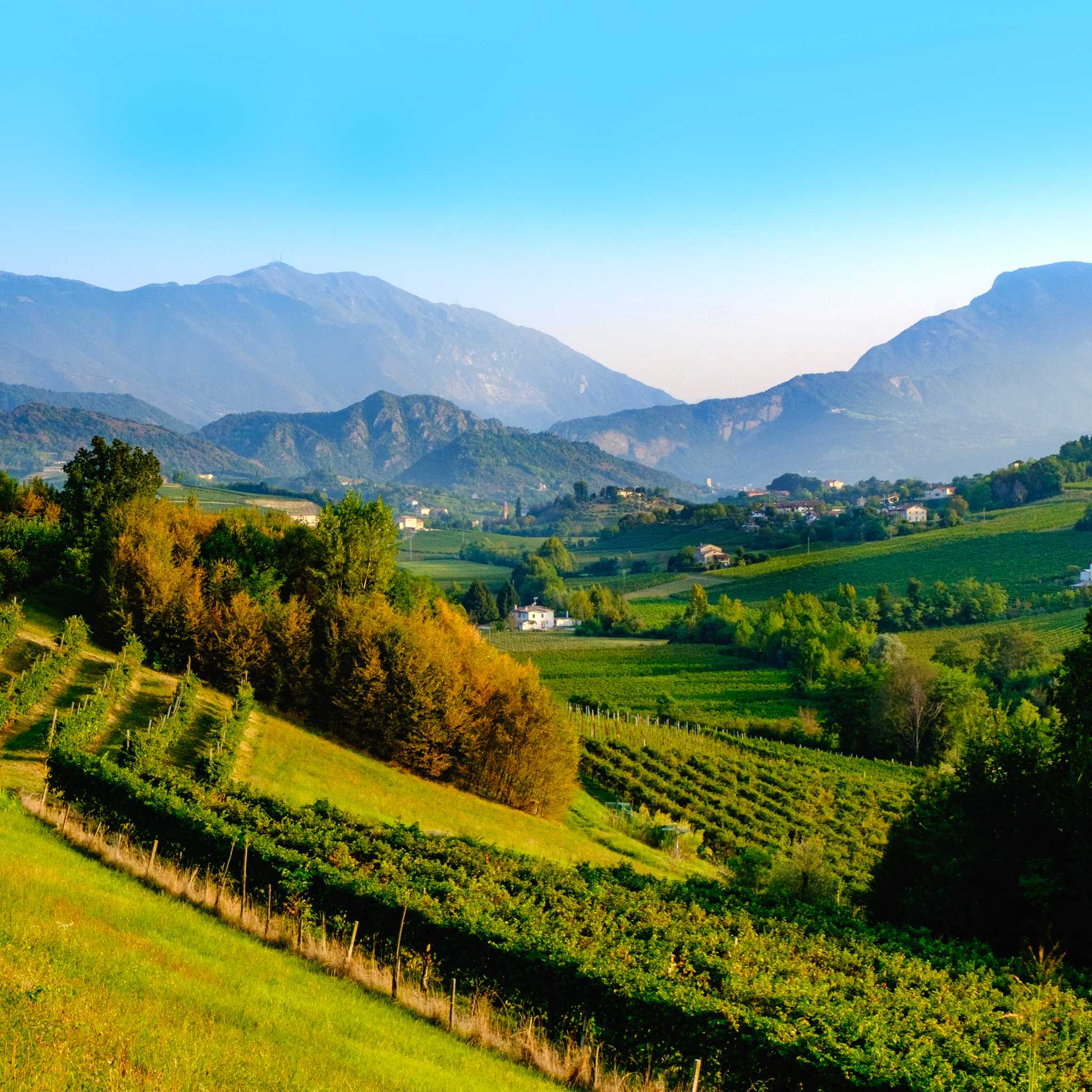 Prosecco Region