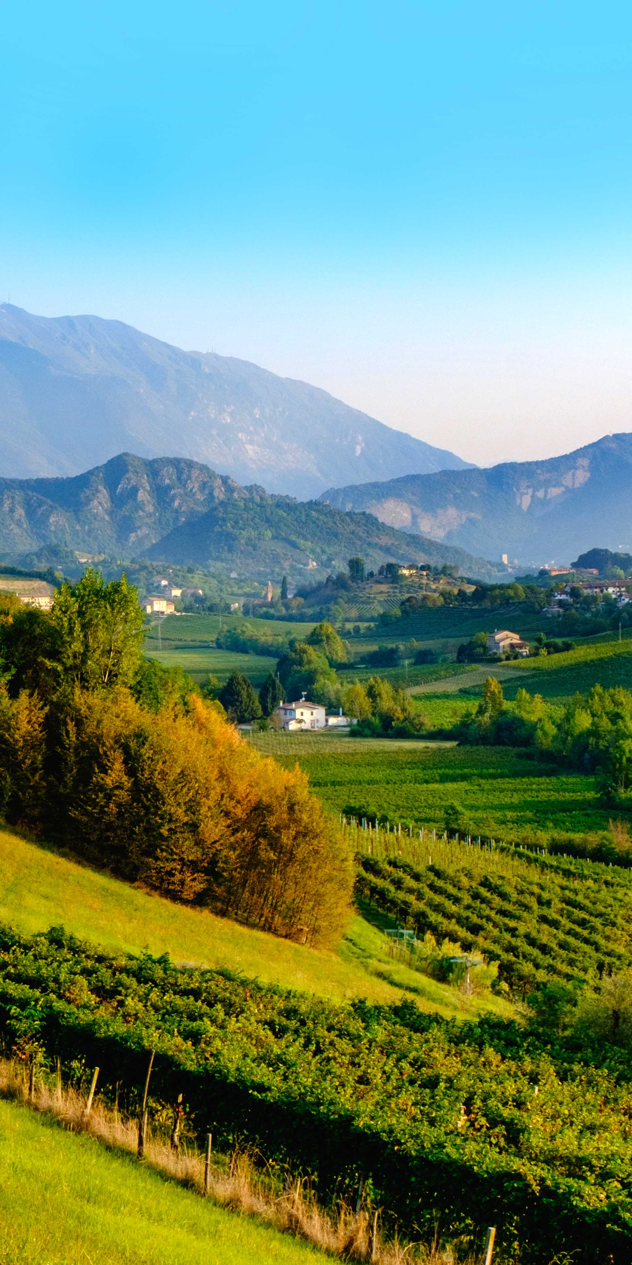 Prosecco Region