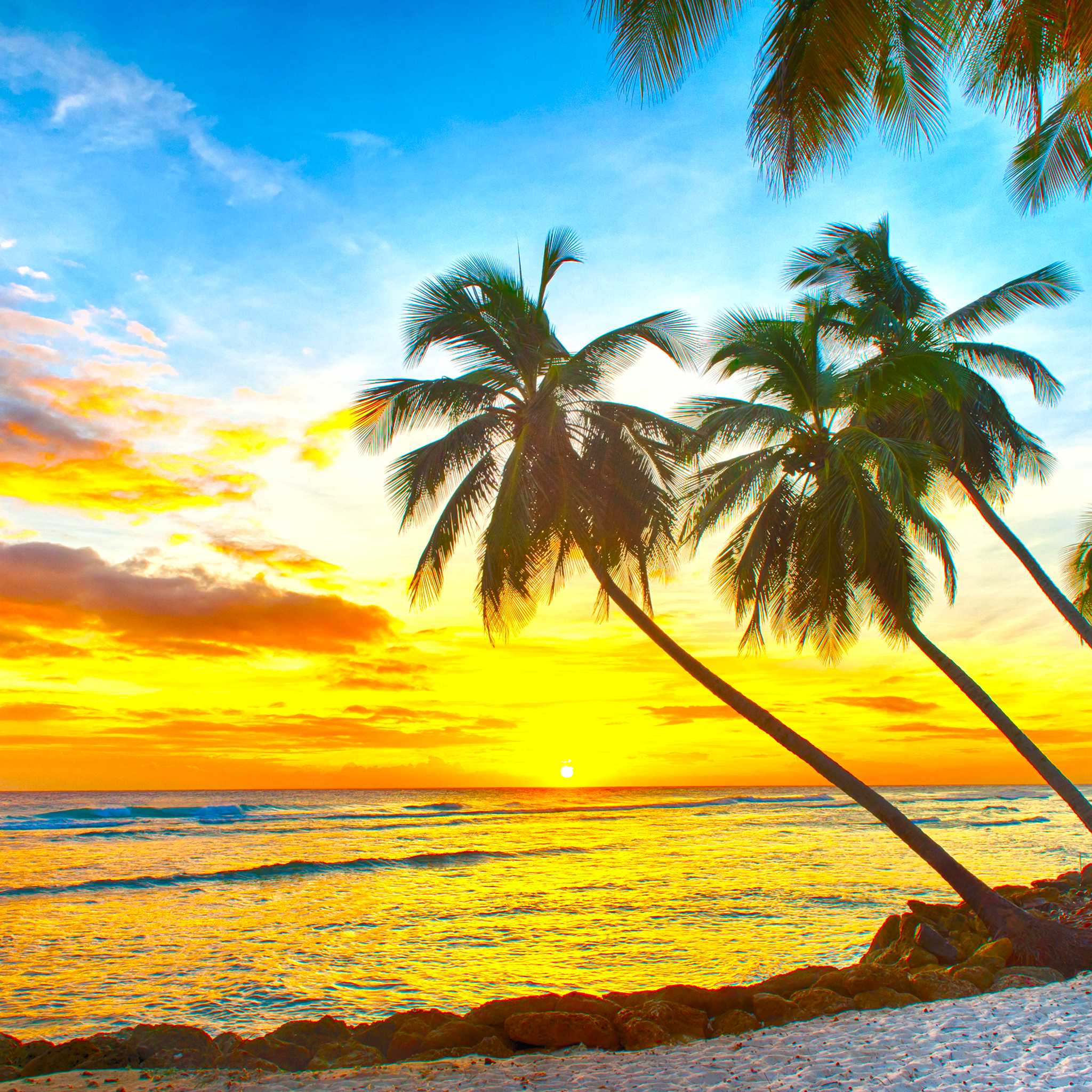 Private car transfers in Barbados from Prospect