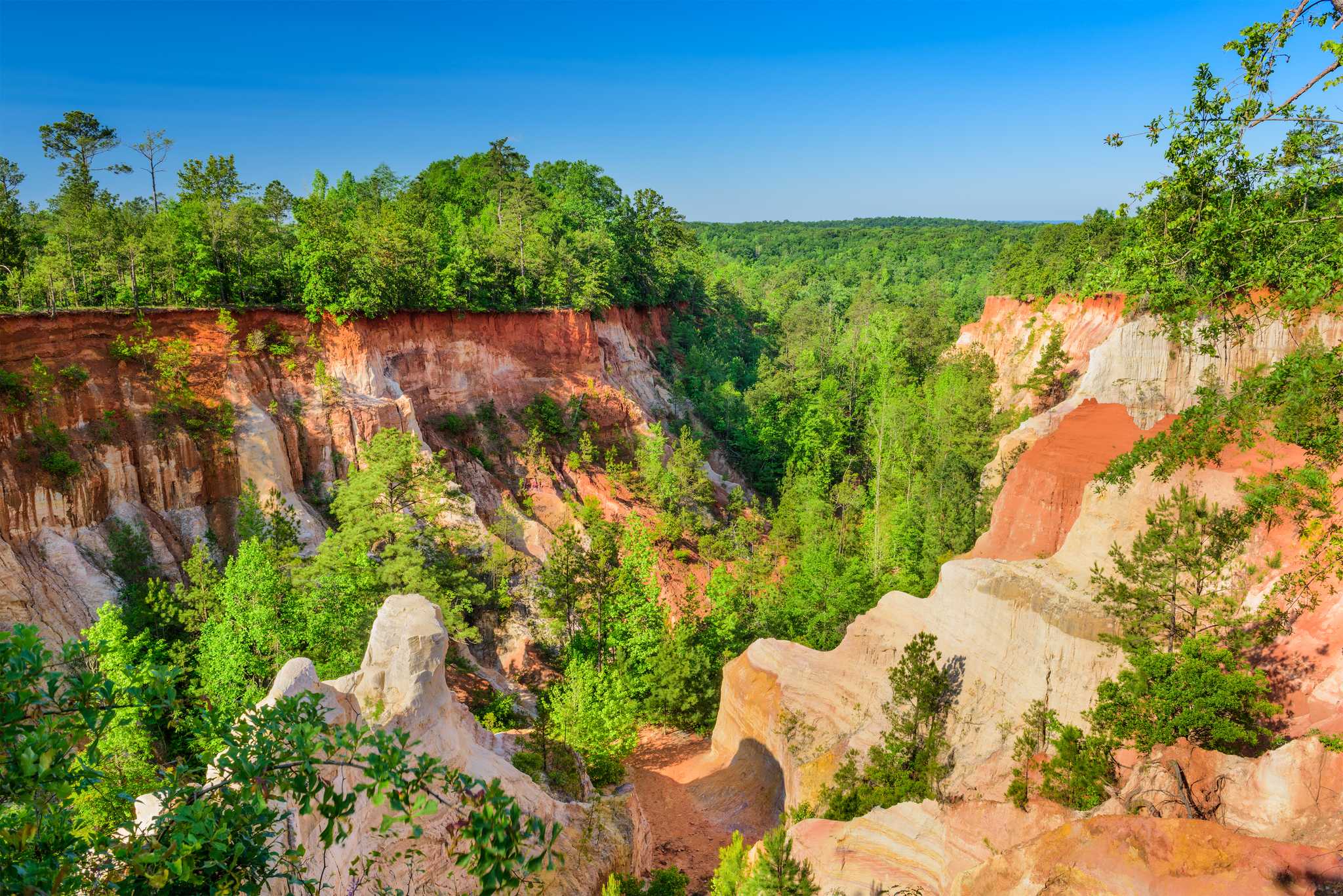 Visitez Providence Canyon State Park sur le chemin de atlanta-ga-us à tallahassee-international-airport-us avec Daytrip