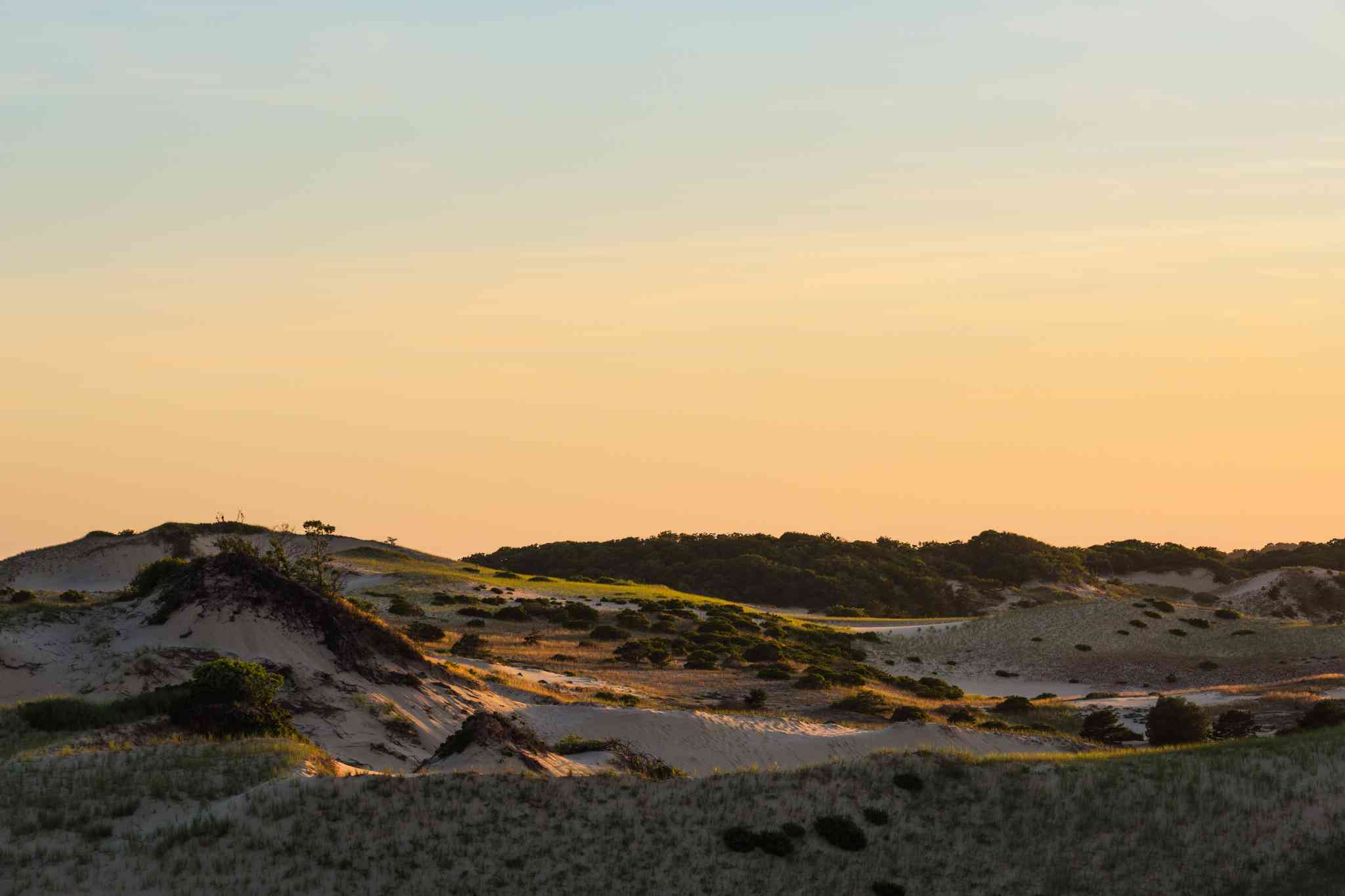Blick auf die Landschaft von Provincetown, MA - private Tagesreise von Boston, MA - Foto 4
