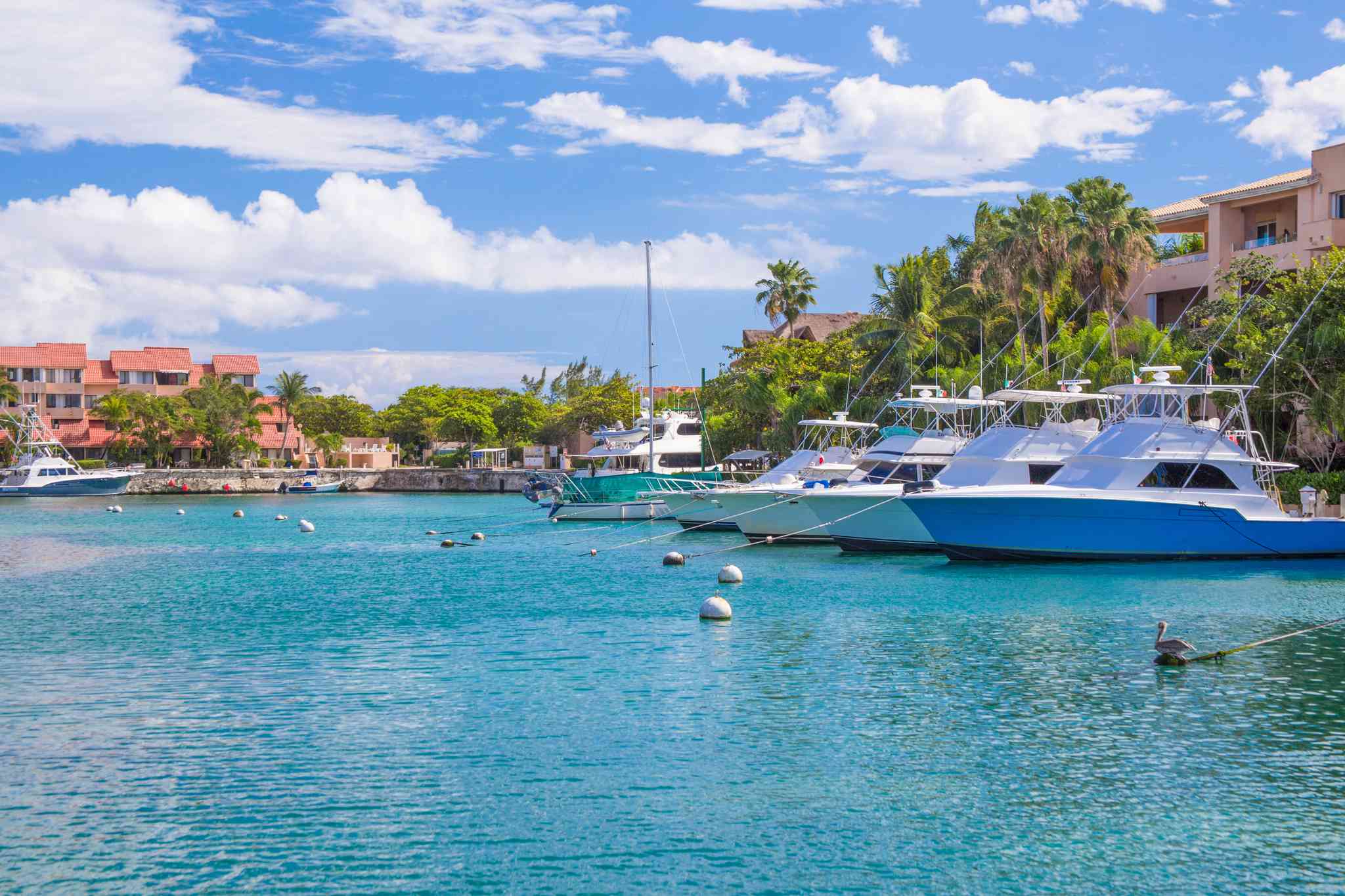 Scenic view of Puerto Aventuras - private day trip from Costa Mujeres - photo 4