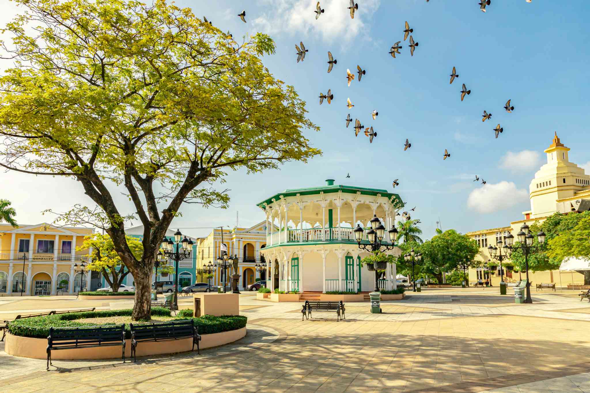 Vista panorámica de Punta Cana - excursión privada de un día desde Puerto Plata - foto 6