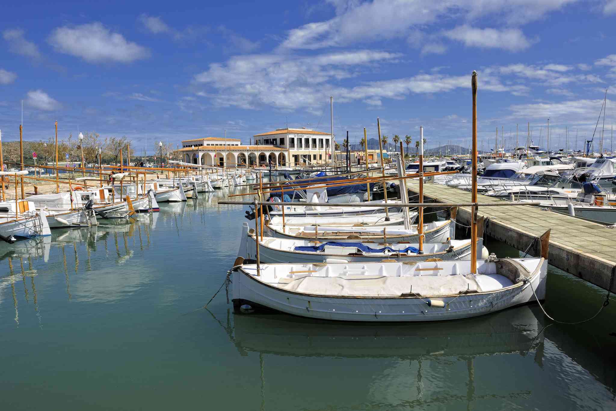 Puerto Pollensa 의 경치 - Palma de Mallorca 에서 출발하는 개인 day trip - 사진 4